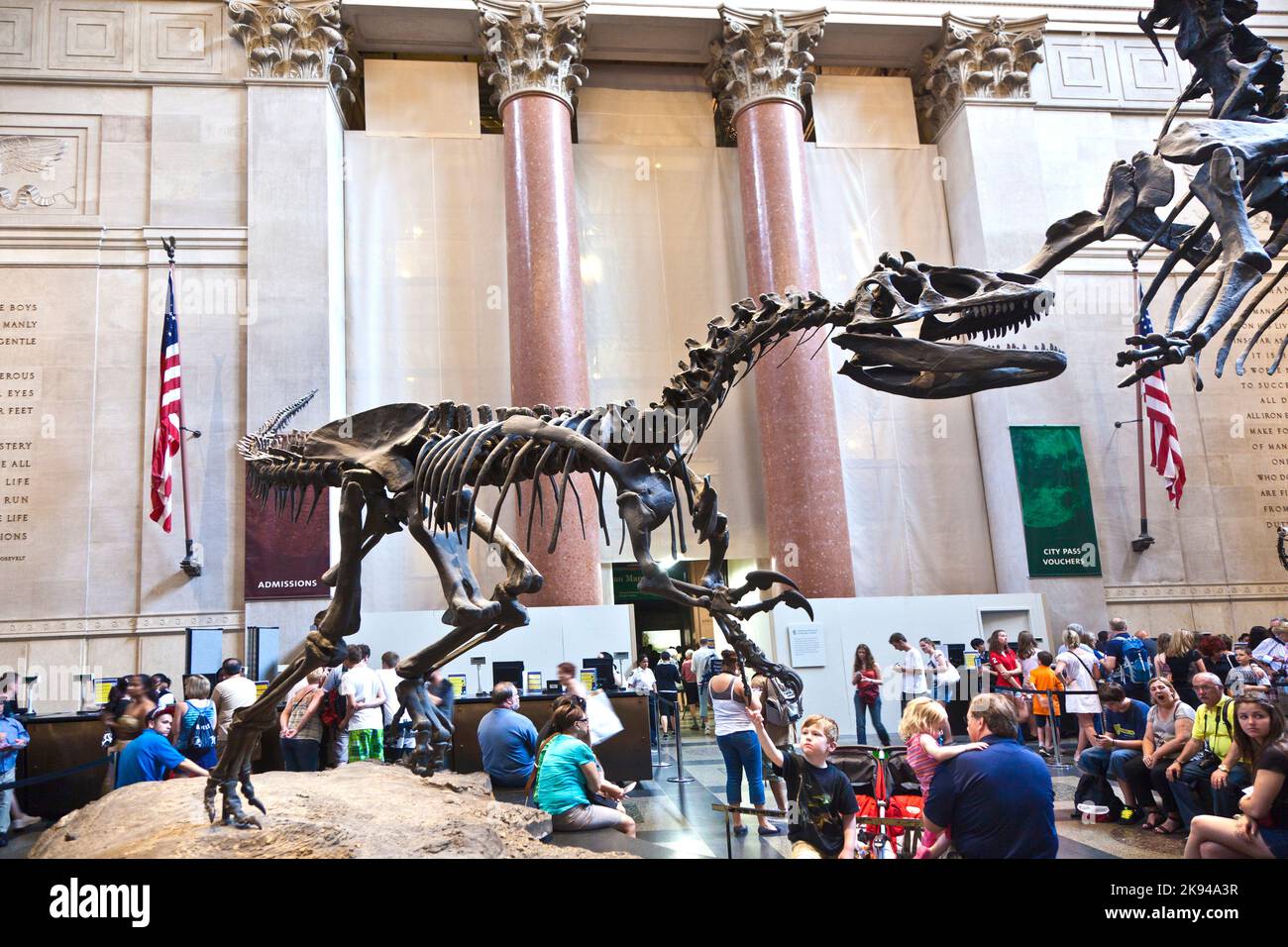 NEW YORK - JULI 8: Das American Museum for National History in Newe York beherbergt eine große Sammlung von Dinosaurierskeletten und prähistorischen, auch menschlichen Exen Stockfoto