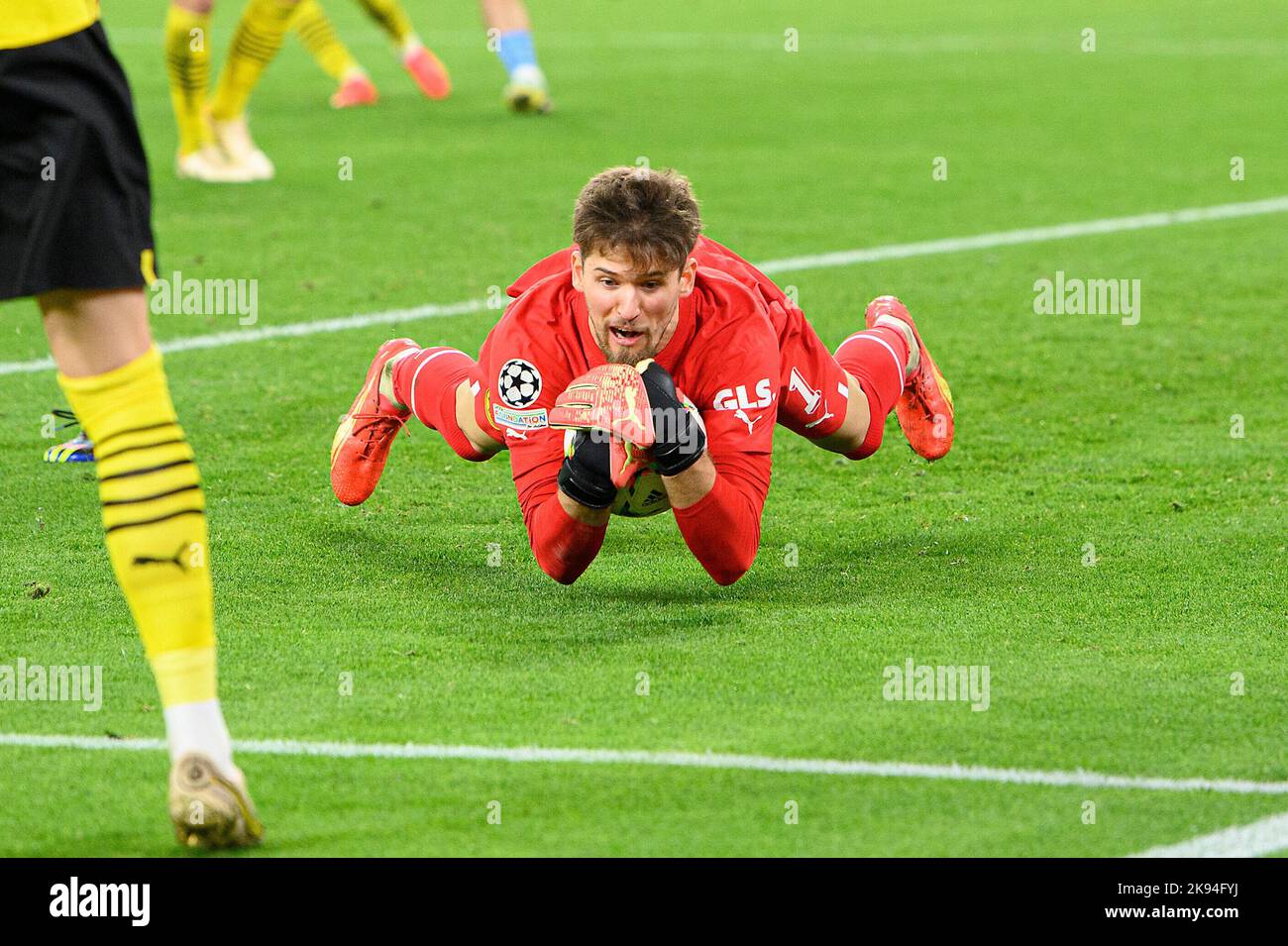 dortmund-deutschland-25-oktober-2022-torwart-gregor-kobel-do
