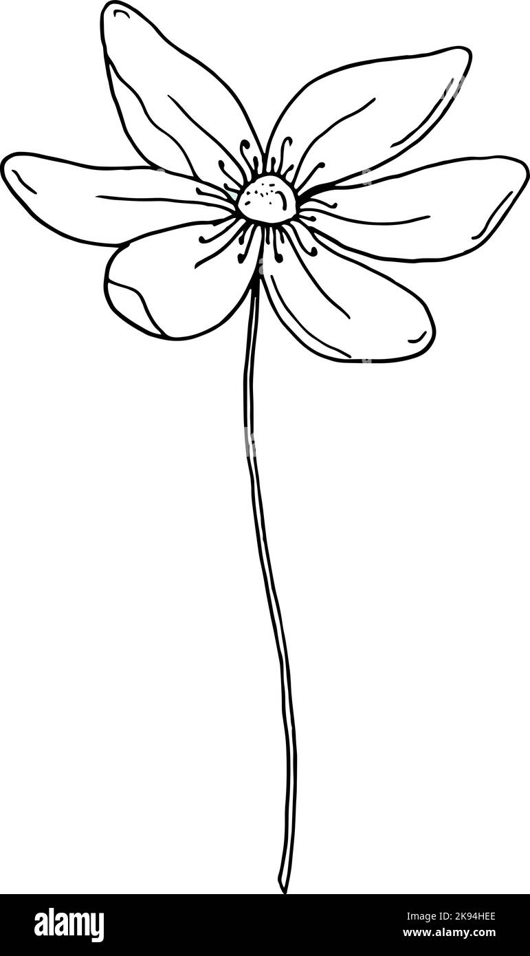 Blumensymbol. Schwarze Linie handgezeichnetes florales Element isoliert auf weiß. Eine Linie Kontur Blumenzeichnung. Vektorgrafik Stock Vektor