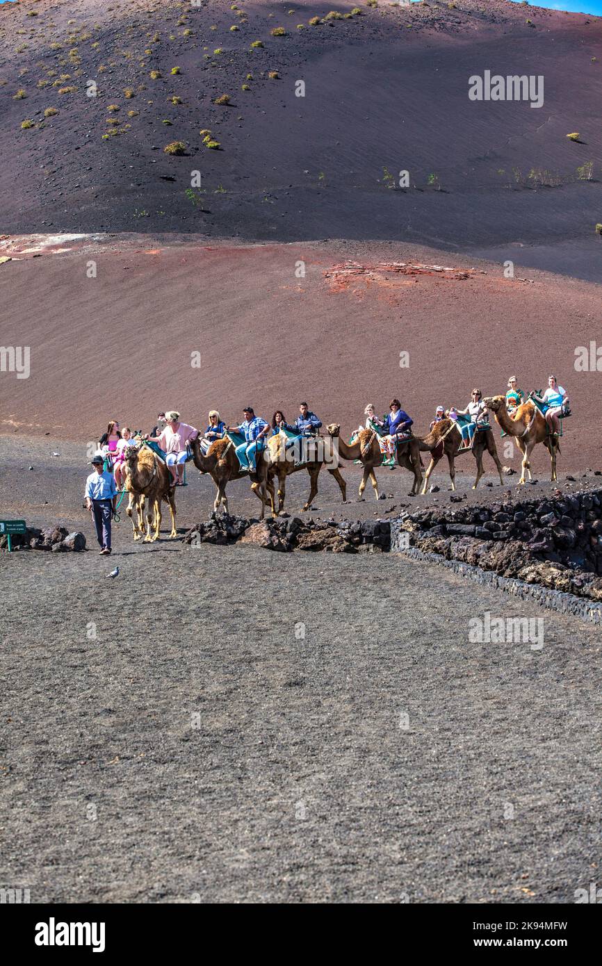 LANZAROTE, SPANIEN - APRIL 5: Kamelreiten für Touristen zu Vulkankegeln ist eine Touristenattraktion im Timanfaya Nationalpark auf der Kanarischen Insel Stockfoto