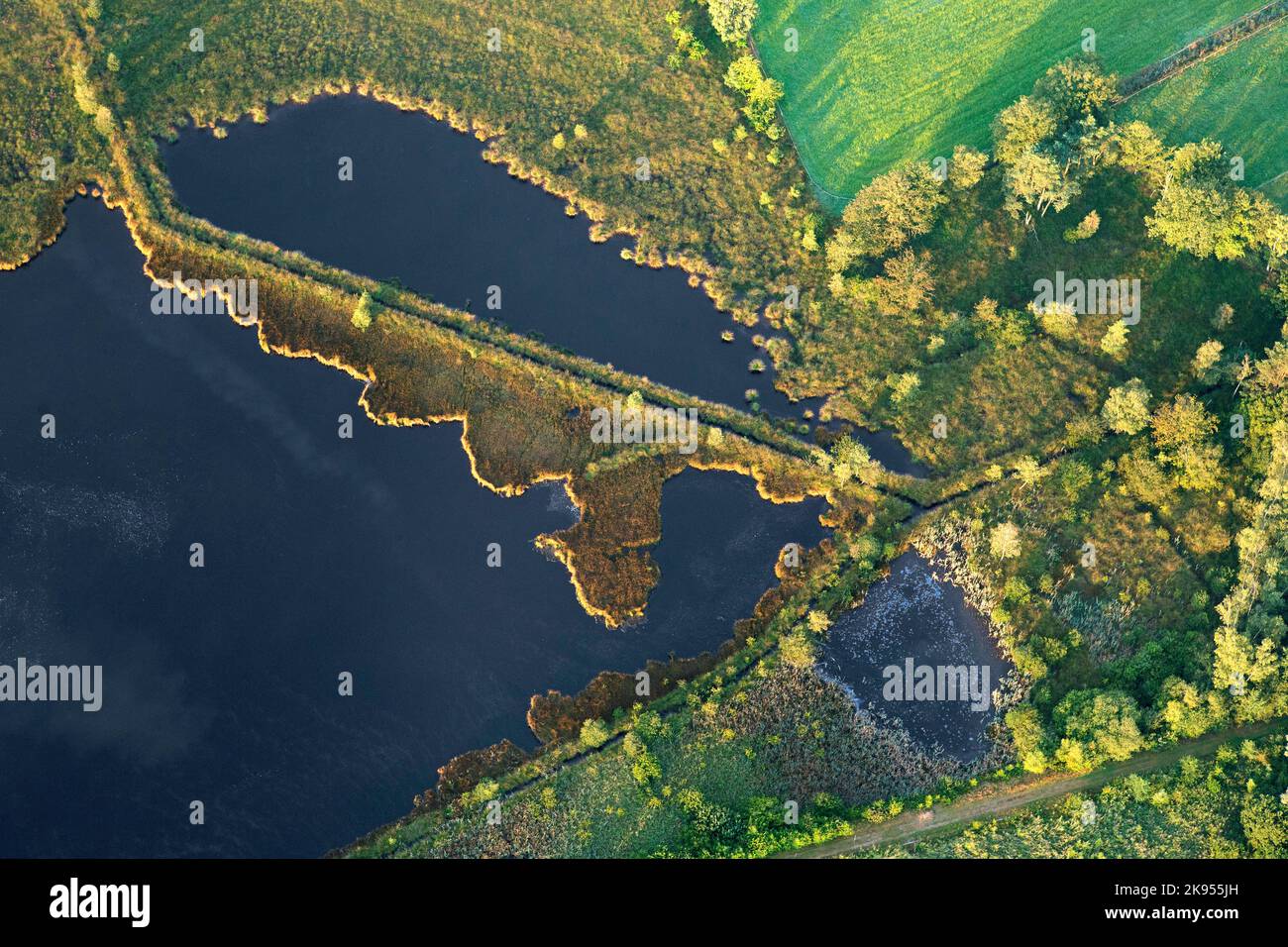 Luftaufnahme des Naturschutzgebietes Stappersven-Kalmthoutse Heide, Belgien, Antwerpen, Kalmthout, Kalmthoutse heide Stockfoto