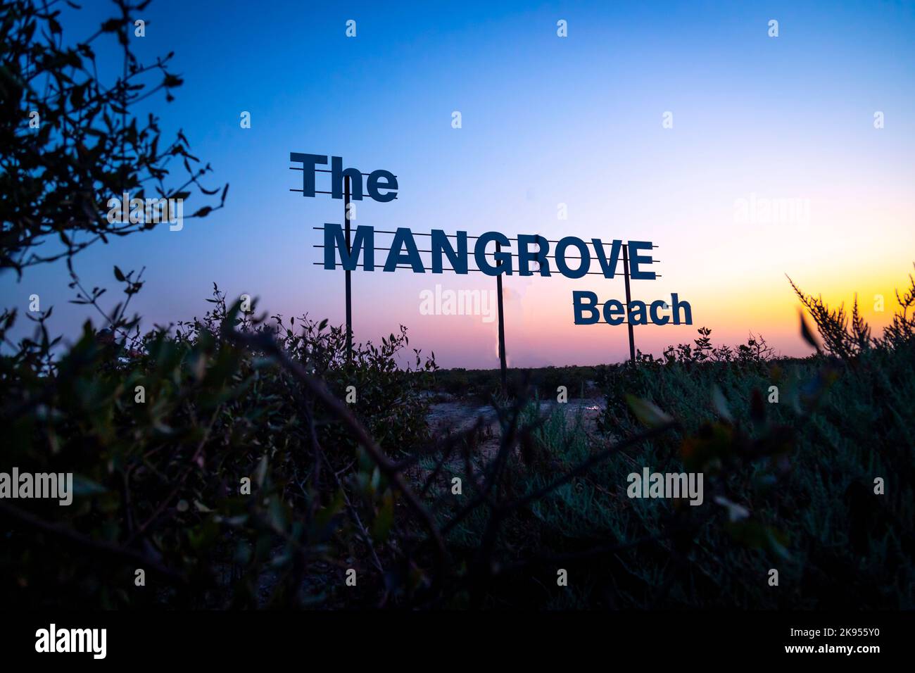 Mangroven-Strand Eingang Brett und Wald in der Wüste von Umm al Quwain Emirat der Vereinigten Arabischen Emirate Stockfoto