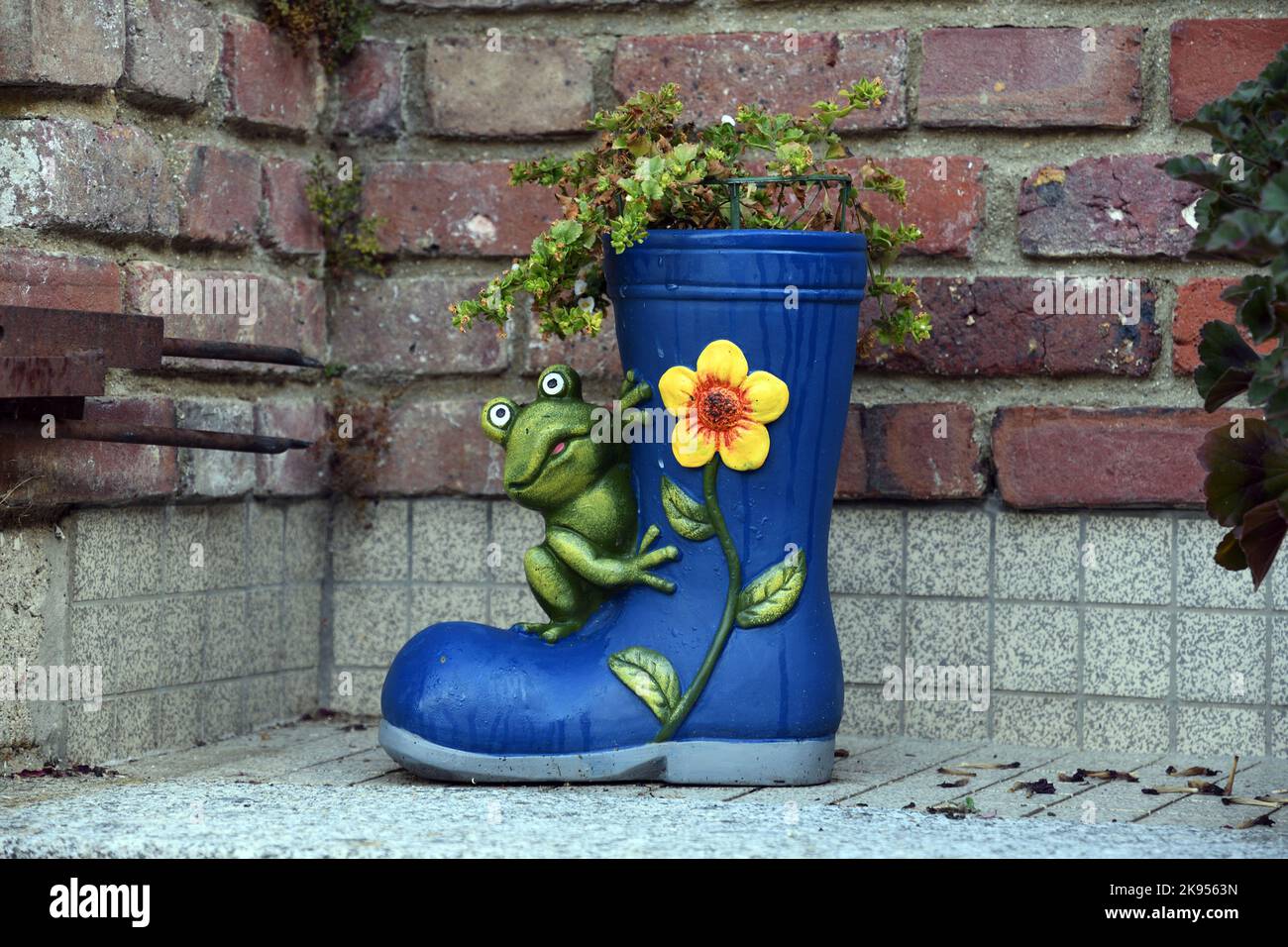 Gartendekoration, Frosch auf einem gepflanzten blauen Gummistiefel, Frankreich, Normandie, Departement seine-Maritime , Neufchatel-en-Bray Stockfoto