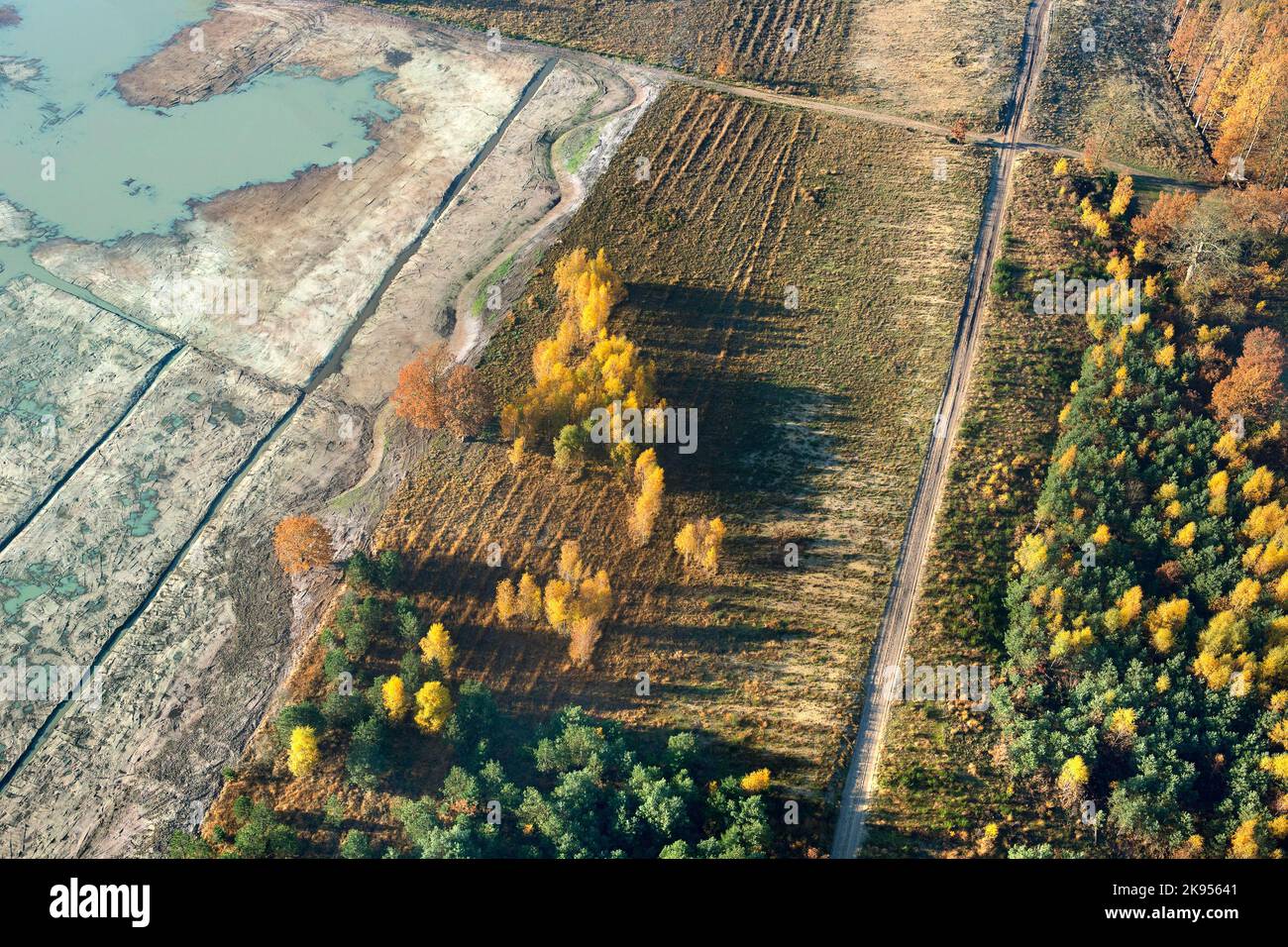 sod-Schnittflächen für den Erhalt der Heide, Averbode Bos en Heide, Belgien, Vlaams-Brabant, Averbode, Averbode Bos en Heide Stockfoto