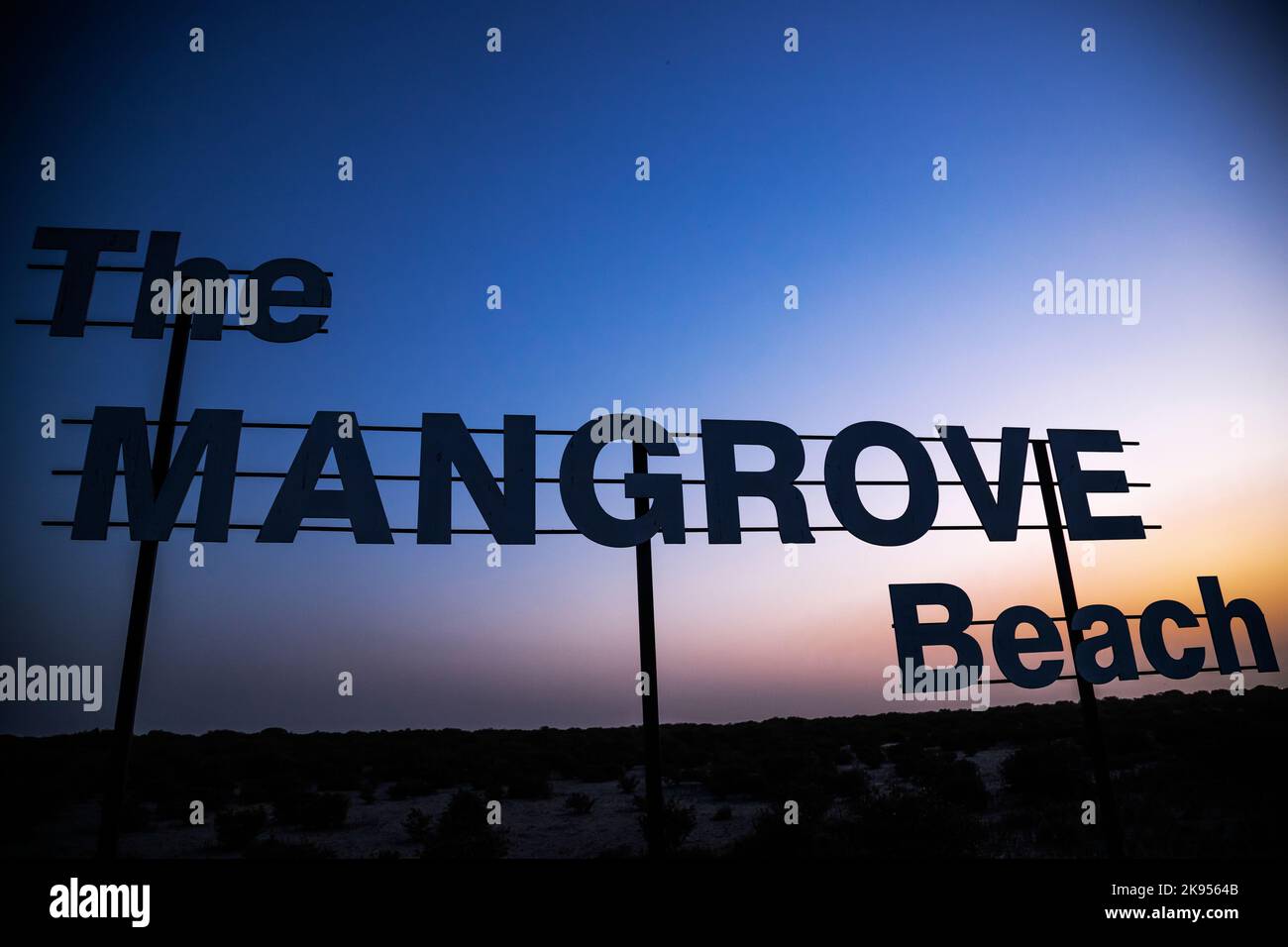 Mangroven-Strand Eingang Brett und Wald in der Wüste von Umm al Quwain Emirat der Vereinigten Arabischen Emirate Stockfoto