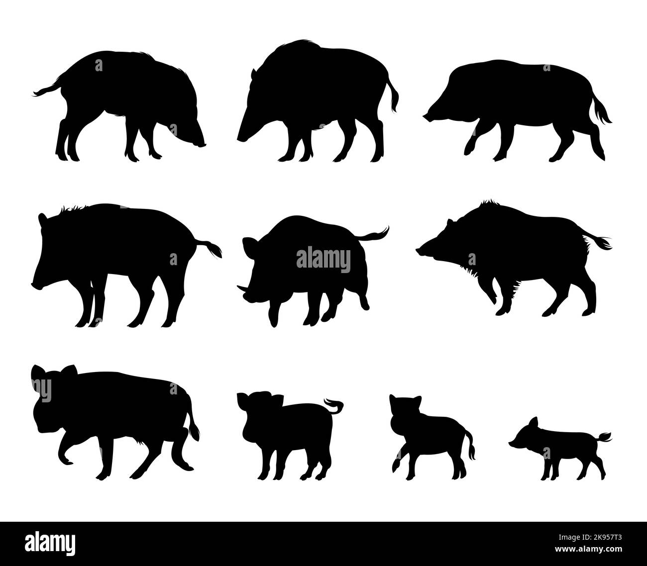 Wildschweinset. Erwachsene und Ferkel. Tier in natürlichem Lebensraum. Abbildung: Wildschwein. Isoliert auf weißem Hintergrund. Vektor Stock Vektor