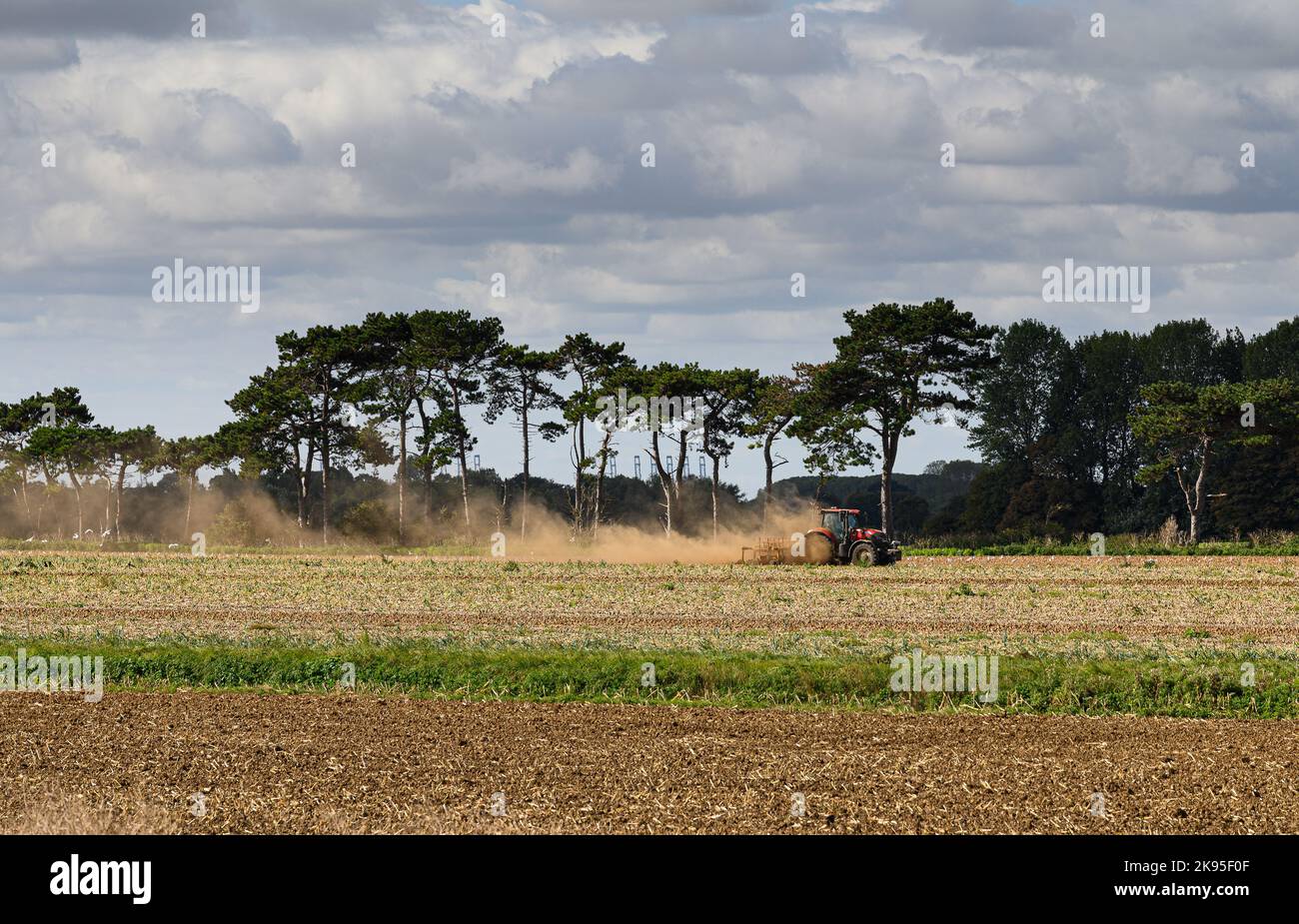 Traktor auf einem Feld in der Nähe von Alderton in Suffolk, England. Stockfoto