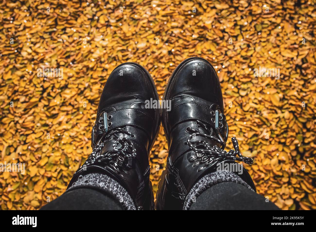 Nahaufnahme von schwarzen Lederstiefeln, die über einem Pool aus Herbstblättern baumeln Stockfoto