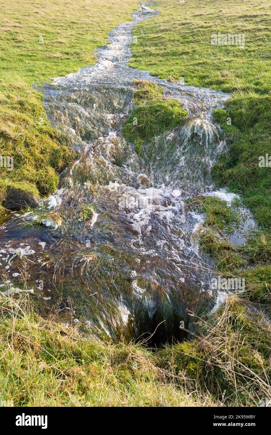 Oberflächenabfluss (auch bekannt als Überlandfluss) von einem Hügel, nachdem der Boden nach starken Regenfällen gesättigt wurde - Schottland, Großbritannien Stockfoto