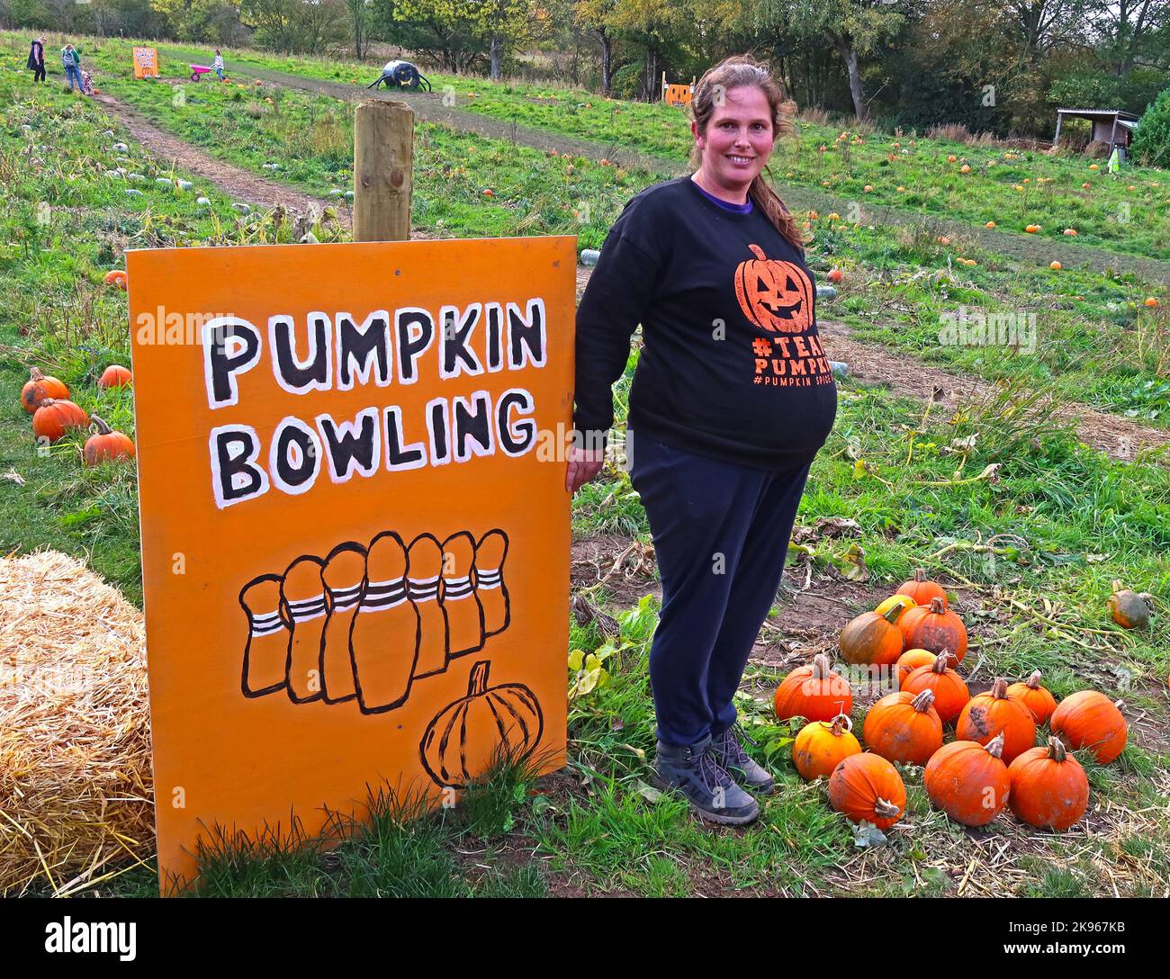 Pumpkin Bowling auf der Lymm Pumpkin Patch Farm, Massey Brook Lane, Lymm, Warrington, ENGLAND, GROSSBRITANNIEN, WA13 0EG Stockfoto