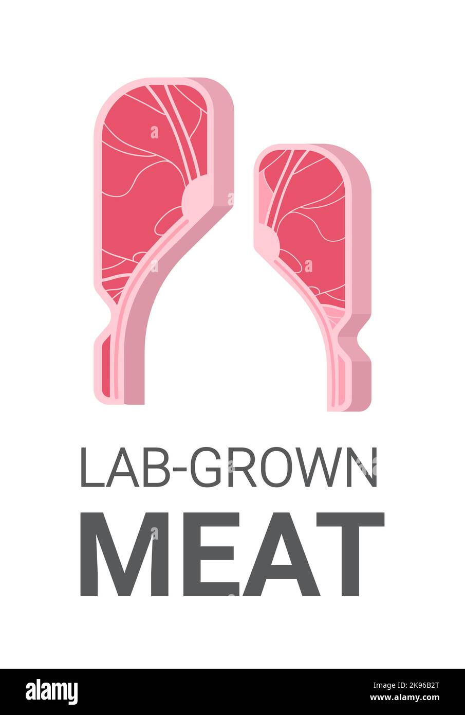 Kultiviertes rohes rotes Fleischsteak aus tierischen Zellen künstliches Labor angebautes Fleischproduktionskonzept vertikal Stock Vektor