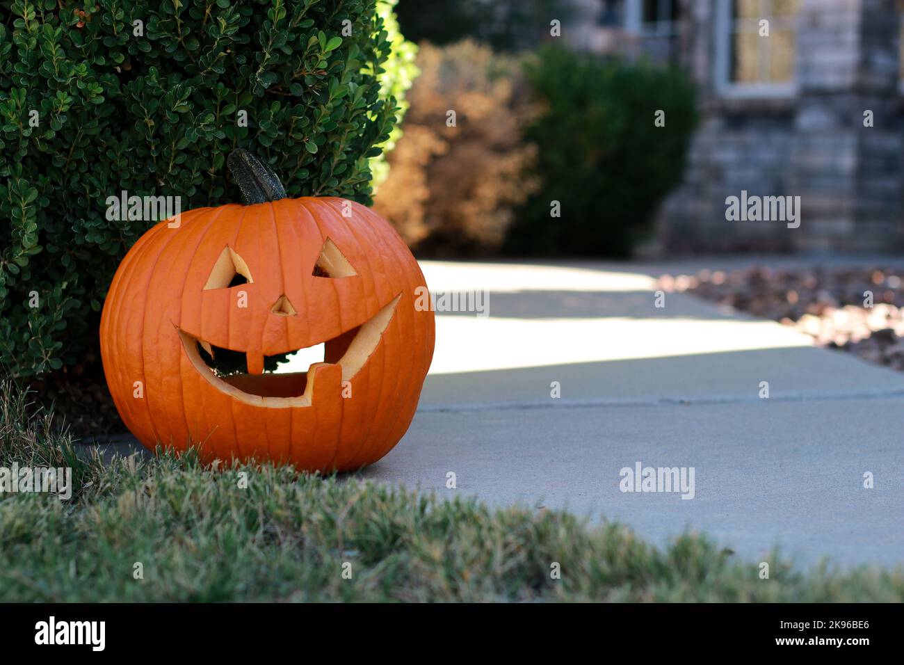 Nahaufnahme eines großen halloween Kürbisses vor der Tür Stockfoto