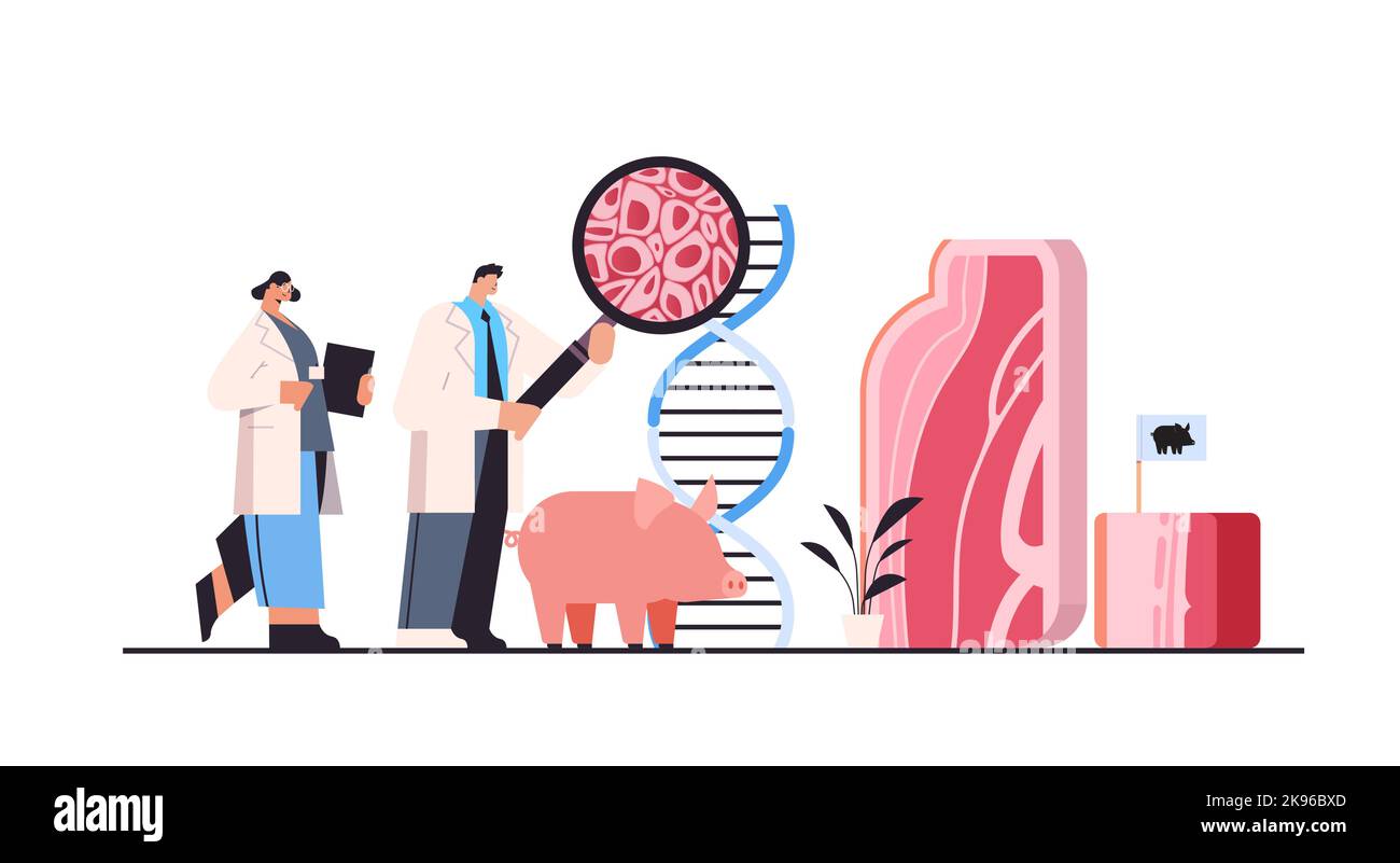 Wissenschaftler analysieren dna von kultiviertem rotem rohem Fleisch, das aus tierischen Zellen hergestellt wurde, die künstliche Fleischproduktion im Labor Stock Vektor