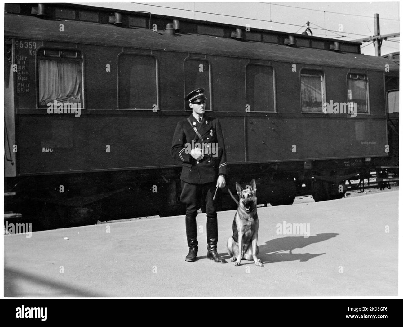 Schwedische Bahnpolizei mit einem Schäferhund vor einem deutschen Militärzug auf dem Weg nach Norwegen während des Zweiten Weltkriegs. Hier am Hauptbahnhof von Östersund. Der Wagen hinter dem Hundeführer ist ein deutscher C3ITR, der traglastenwagnen, aus dem 1910s. Tt. Stockfoto