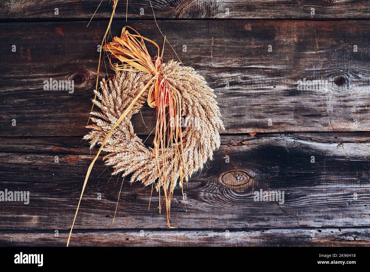 Kranz aus goldenen Ähren aus Weizen, getrockneten Blumen und Kräutern, gebunden mit rotem Band, an der Holzwand aufgehängt. Natürliche rustikale Dekoration Stockfoto