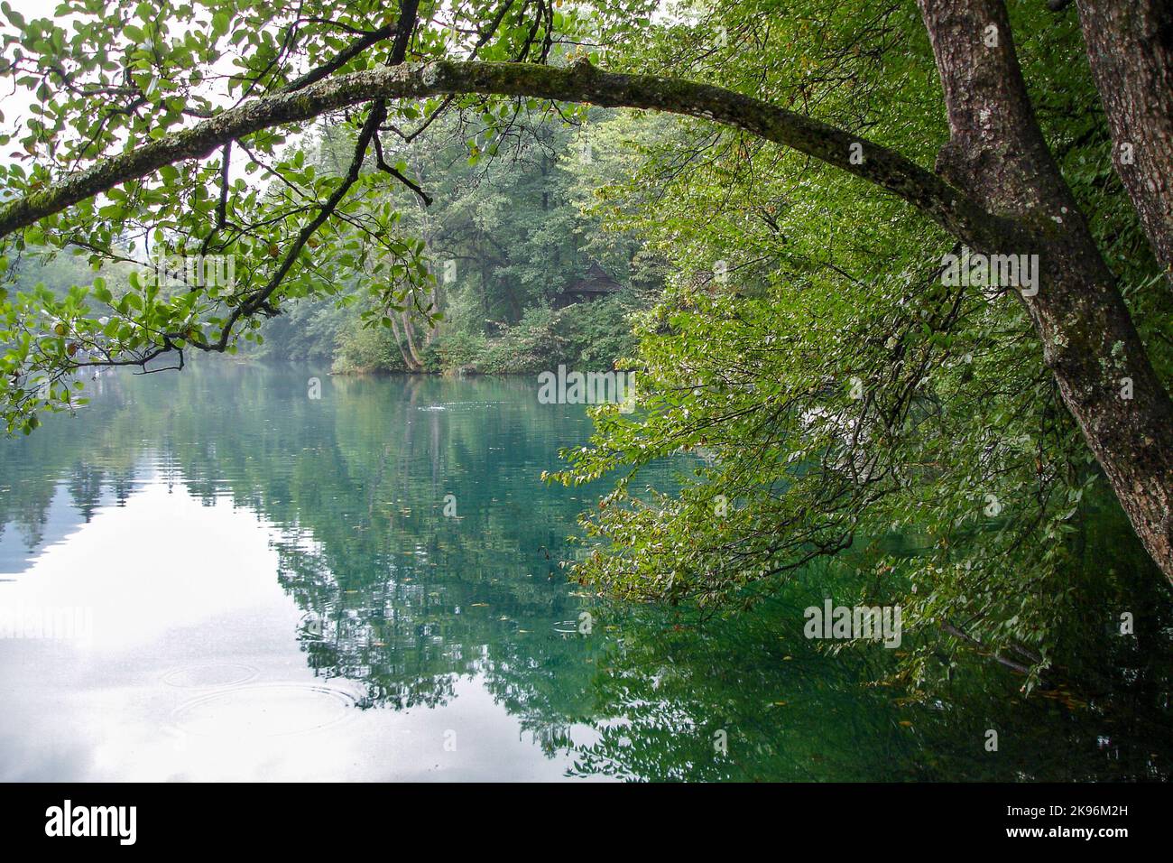 Ein Zweig von Bäumen in Form eines Bogens über einem türkisfarbenen See. Rahmen. Landschaftshintergrund. Natürliche Tapete. Ökologie, Umweltschutz. Stockfoto