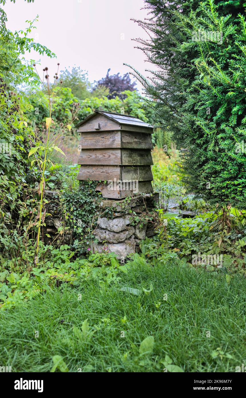 Traditioneller Bienenstock mit Federkante auf Steinsockel im Garten von Gilbert Whites Hampshire Stockfoto