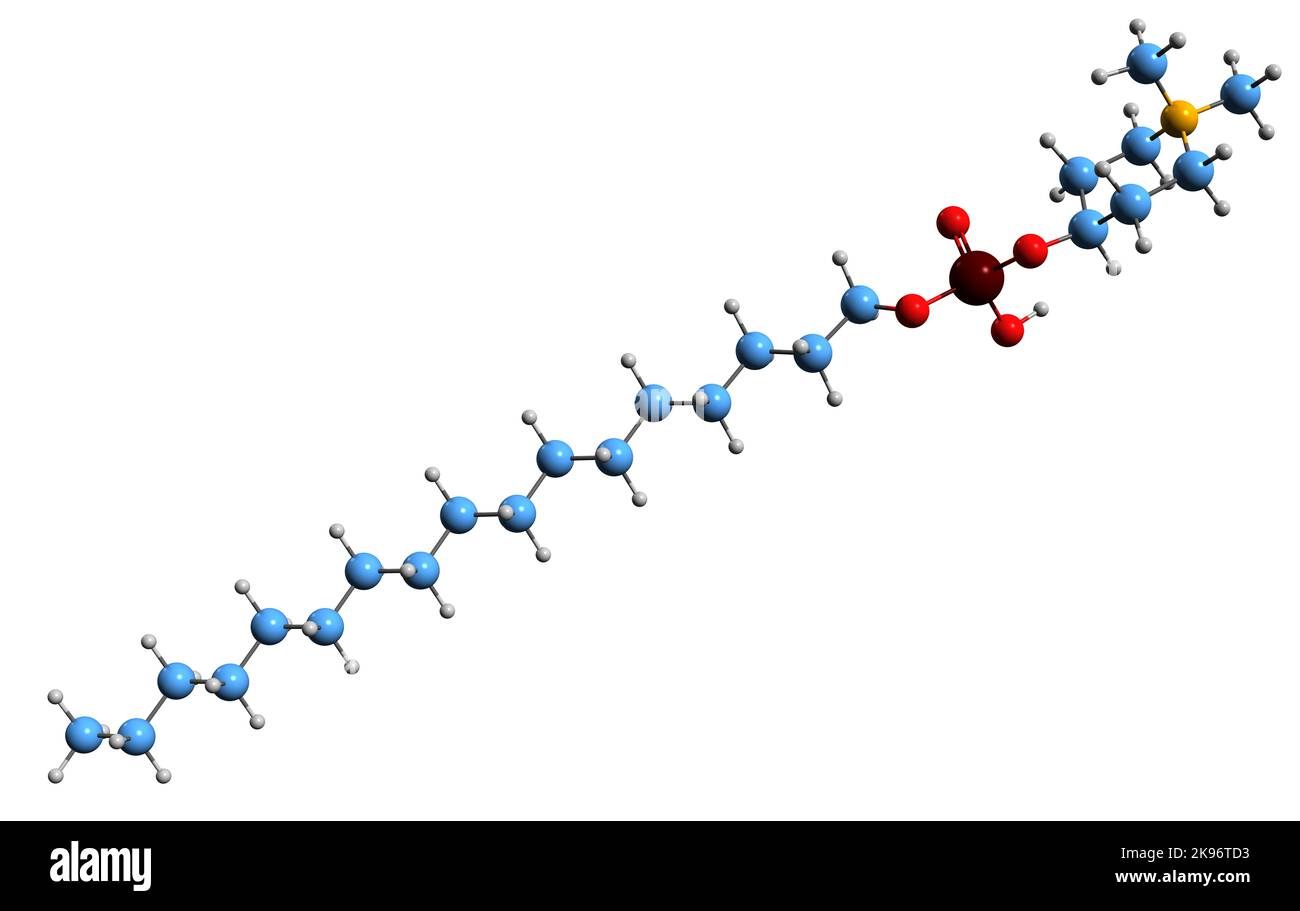 3D Bild der Skelettformel von Perifosin - molekularchemische Struktur eines allosterischen Akt-Inhibitors, isoliert auf weißem Hintergrund Stockfoto