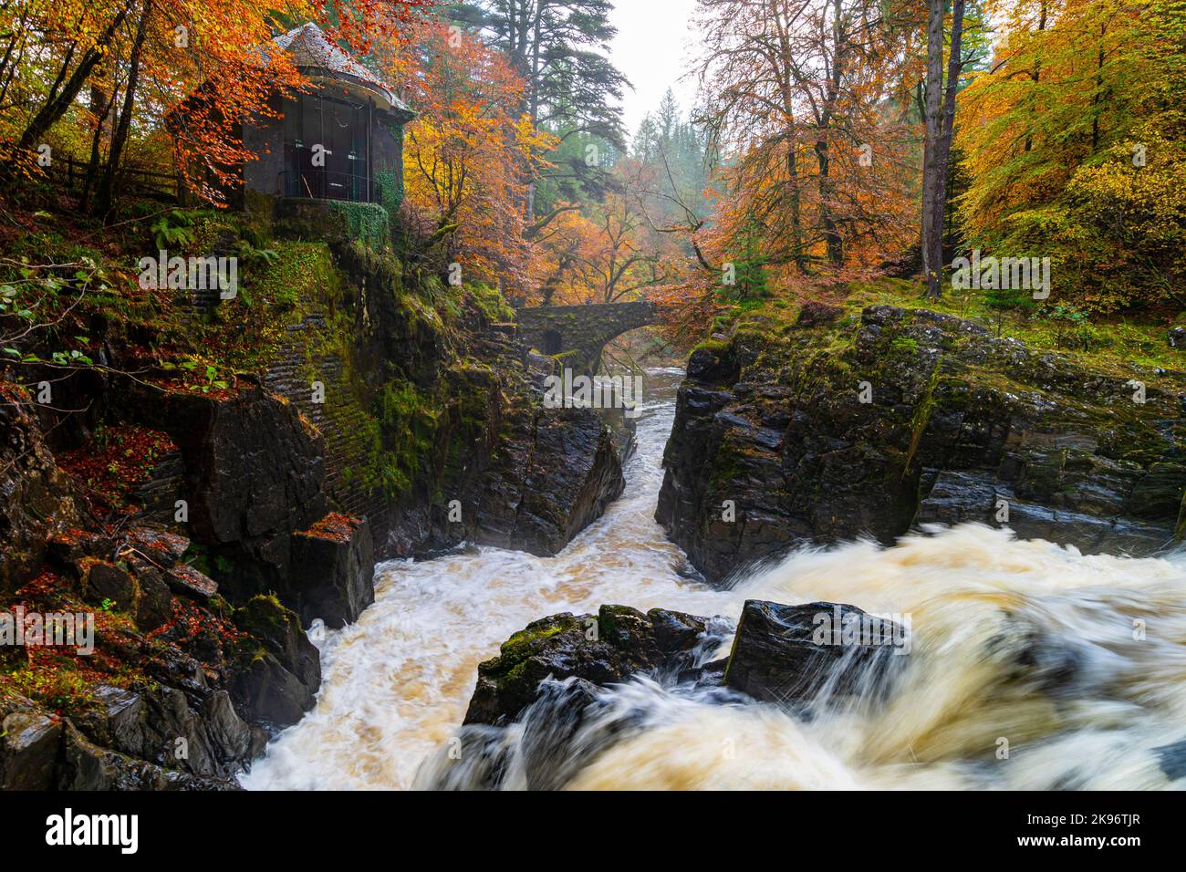 Blick auf die Herbstfarben rund um die Black Linn Falls am Fluss Braan im Hermitage in Perth und Kinross, Schottland, Großbritannien Stockfoto