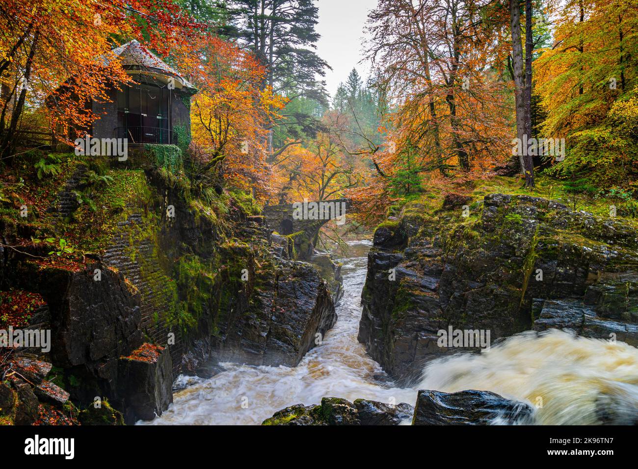 Blick auf die Herbstfarben rund um die Black Linn Falls am Fluss Braan im Hermitage in Perth und Kinross, Schottland, Großbritannien Stockfoto