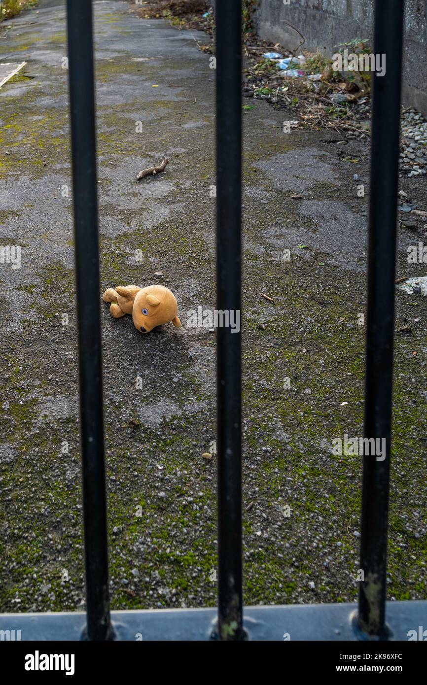 Der verlorene Teddybär liegt mit dem Gesicht nach unten in einer Gasse. Einsame Bärenpuppe, die an einem düsteren Tag auf einem Pfad liegt. Konzepte - einsam, verworfen, ungeliebt, vermisst Stockfoto