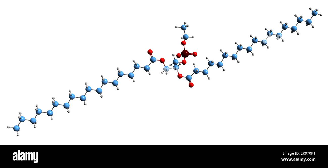 3D Bild der Skelettformel von Phosphatidyllethanol - molekularchemische Struktur von Phospholipid auf weißem Hintergrund isoliert Stockfoto