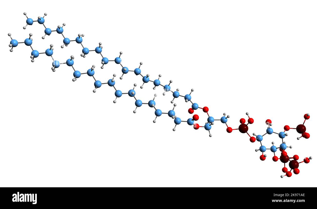 3D Bild der Skelettformel des Phosphatidyllinositol-Trisphosphat - molekularchemische Struktur des Phospholipids PIP3 auf weißem Hintergrund isoliert Stockfoto