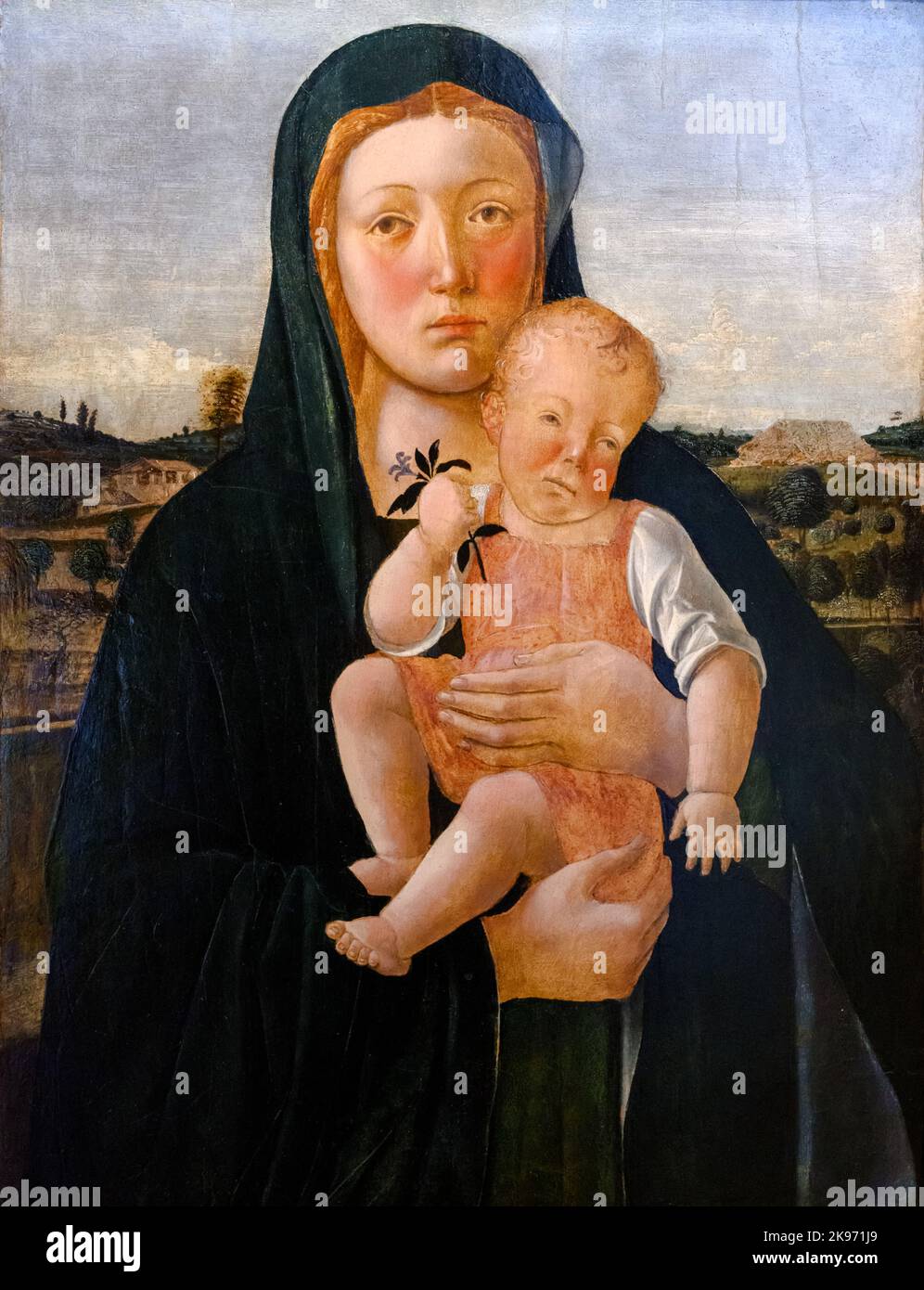 Madonna mit Kind von Giovanni Bellini (um 1435-1516), Öl auf Tafel Stockfoto