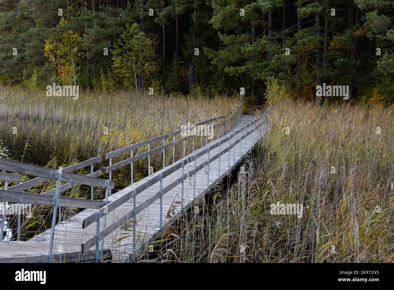 Hölzerne Fußgängerbrücke durch die Gräser und Feuchtgebiete im Teijo-Nationalpark, Salo, Finnland Stockfoto