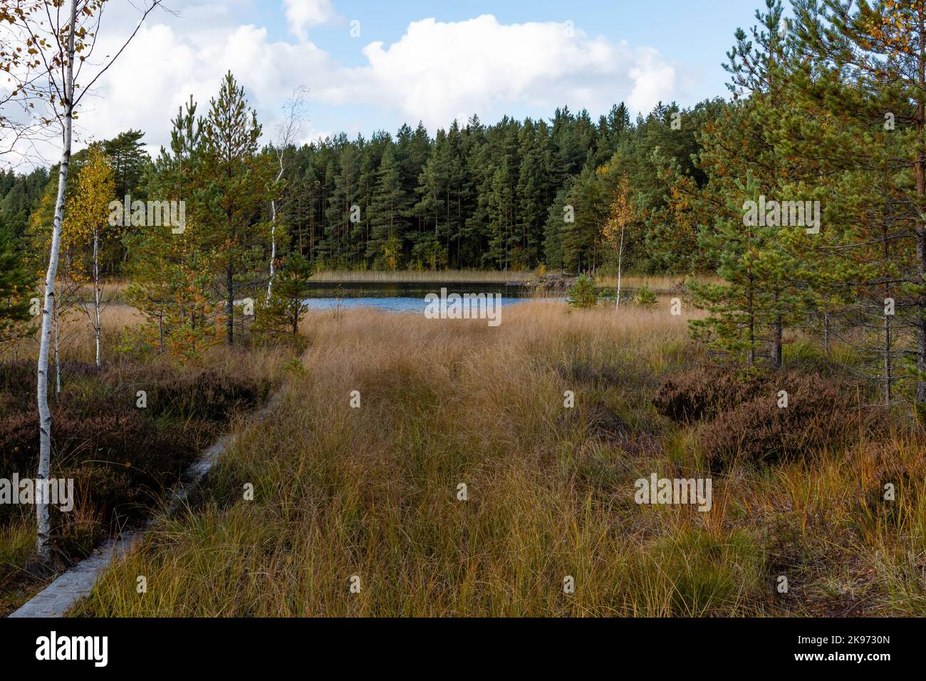 Kleiner See mitten im Wald im Teijo-Nationalpark, Salo, Finnland Stockfoto