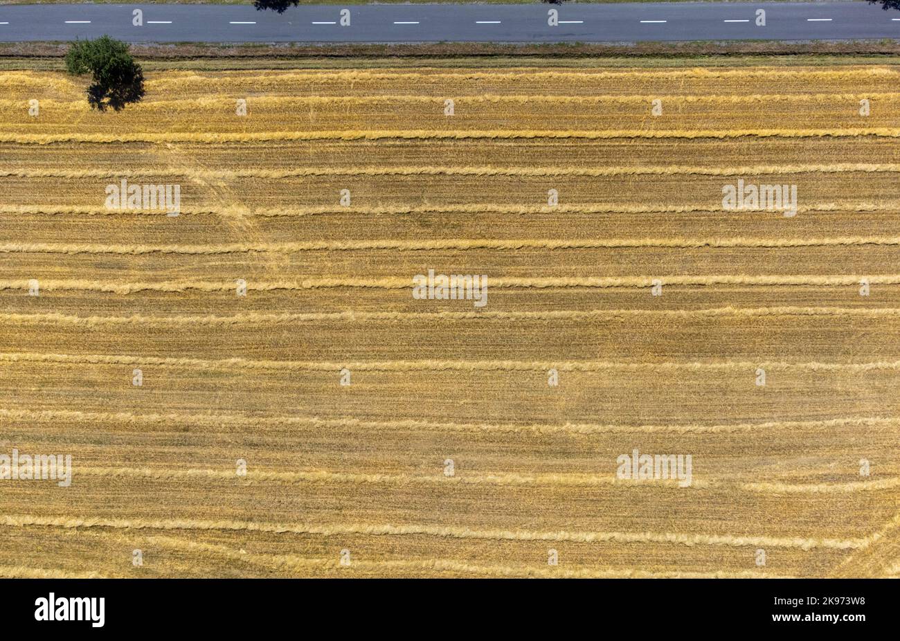 Eine Landschaft mit einer Straße und einem Feld von oben gesehen Stockfoto