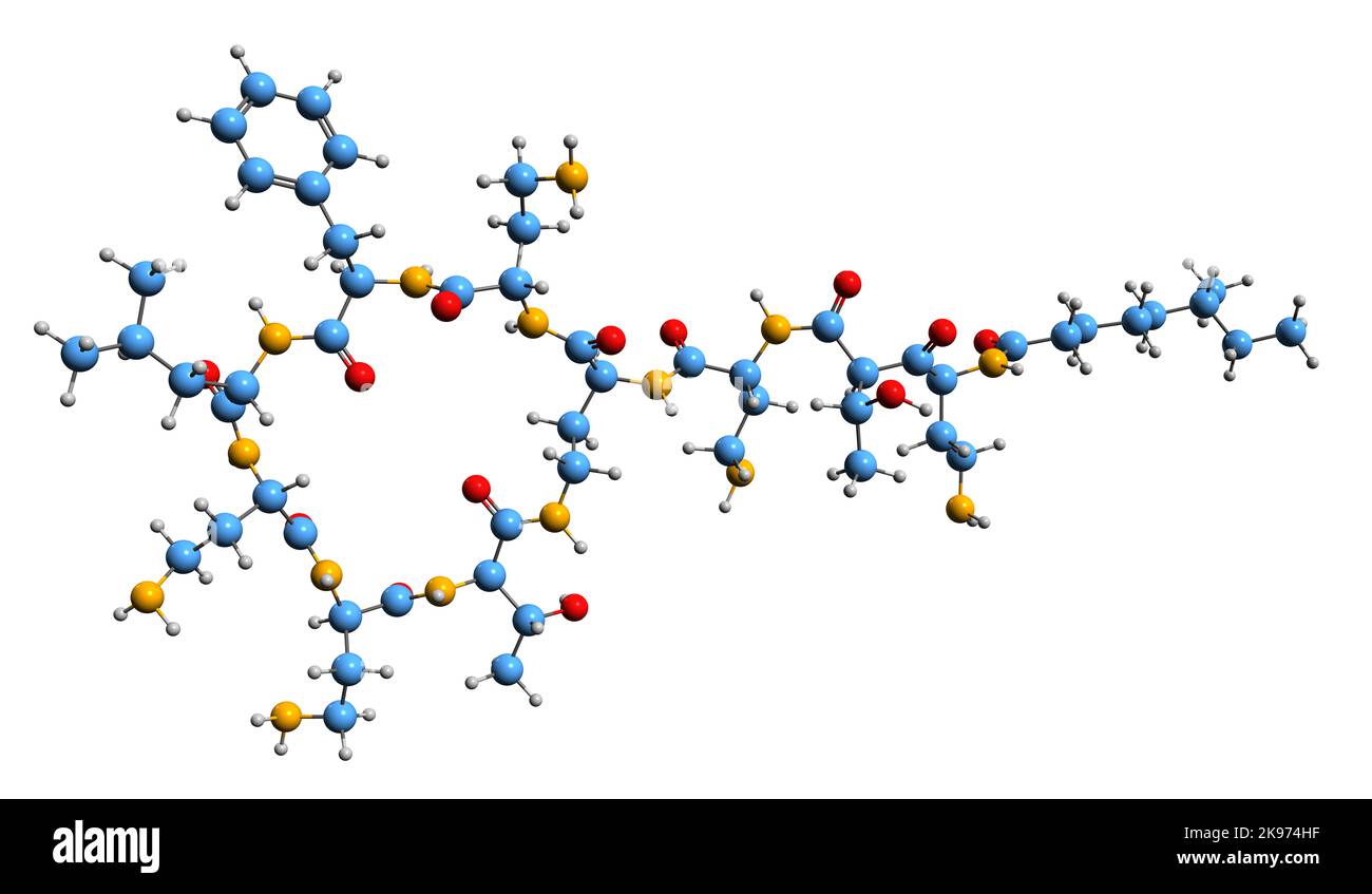 3D Bild der Skelettformel Polymyxin B - molekularchemische Struktur eines Antibiotikums auf weißem Hintergrund isoliert Stockfoto