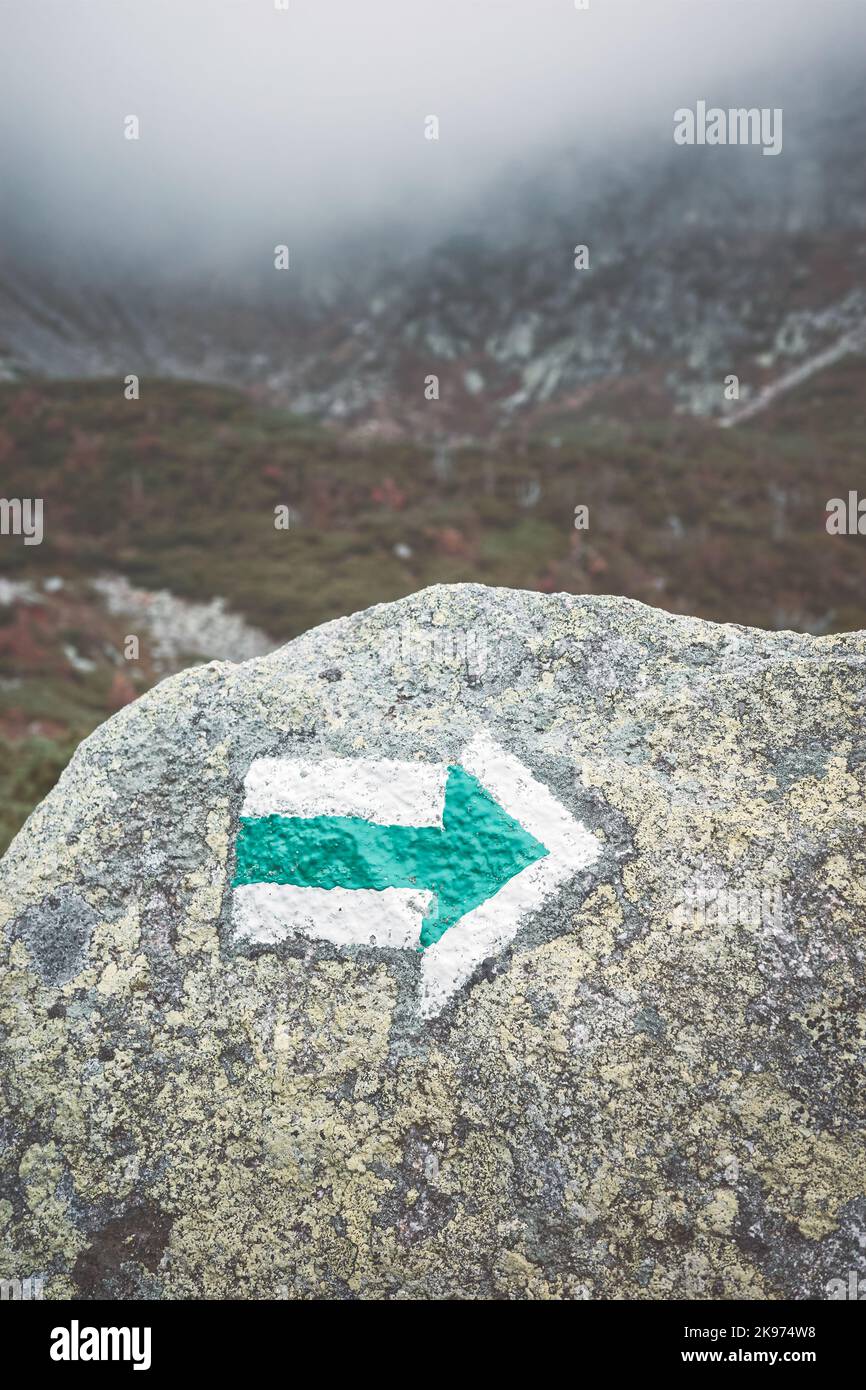 Trail Marking Pfeil auf einem Felsen gemalt, Farbtonung angewendet, selektiver Fokus. Stockfoto
