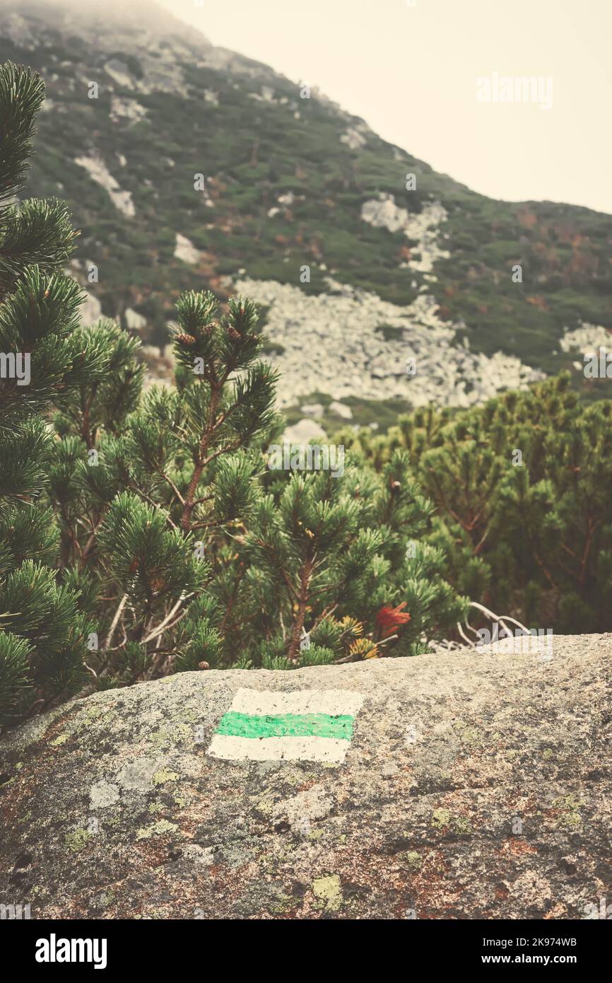Trail Marking Pfeil auf einem Felsen gemalt, Farbtonung angewendet, selektiver Fokus. Stockfoto