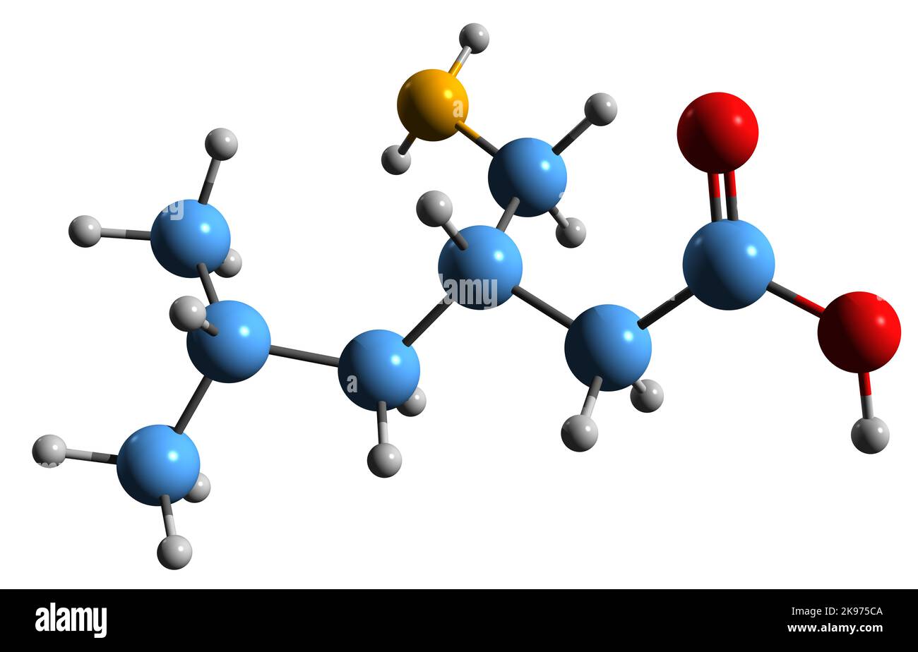 3D Bild der Skelettformel von Pregabalin - molekulare chemische Struktur von krampflösenden, analgetischen und angstlösenden Medikamenten, isoliert auf weißem Rücken Stockfoto