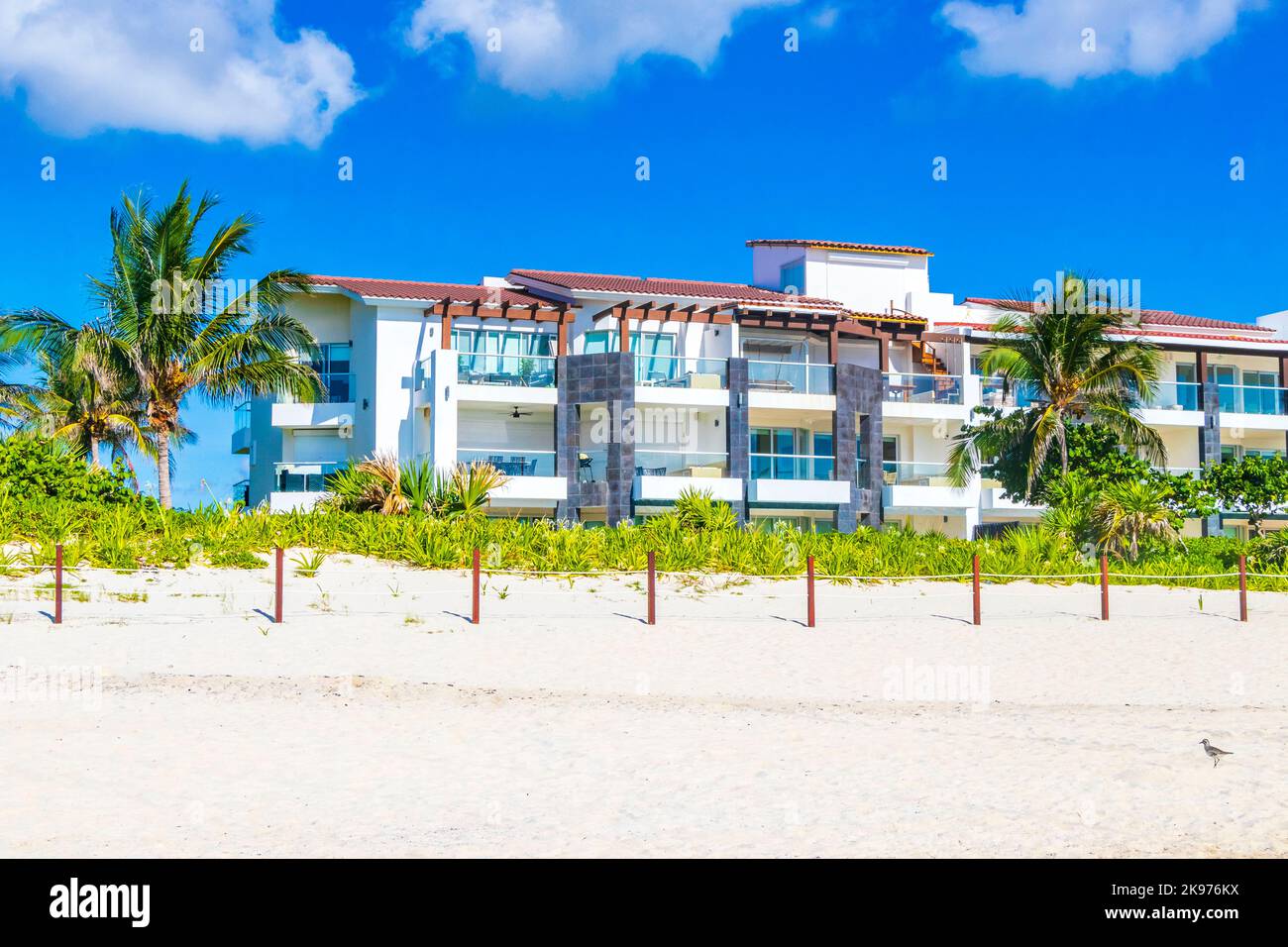 Palmen Sonnenschirme Sonnenschirme Sonnenschirme Sonnenschirme und Liegestühle im Strandresort Hotel am tropischen mexikanischen Strand in Playa del Carmen Mexiko. Stockfoto