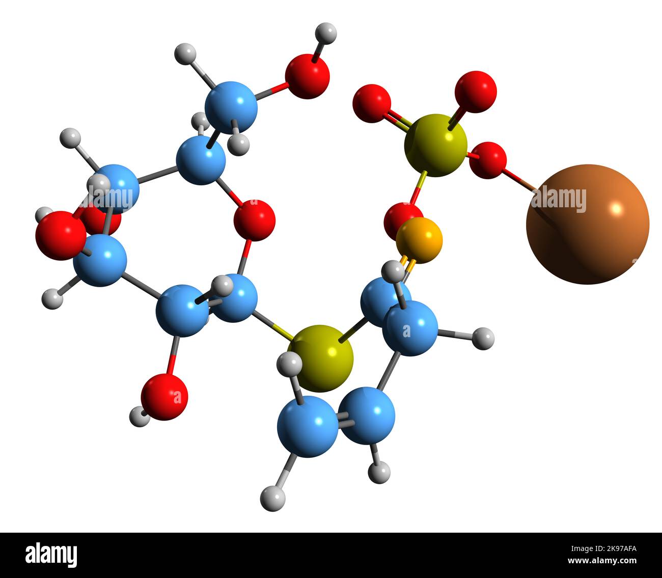 3D Bild der Sinigrin-Skelettformel - molekulare chemische Struktur von Glucosinolat isoliert auf weißem Hintergrund Stockfoto