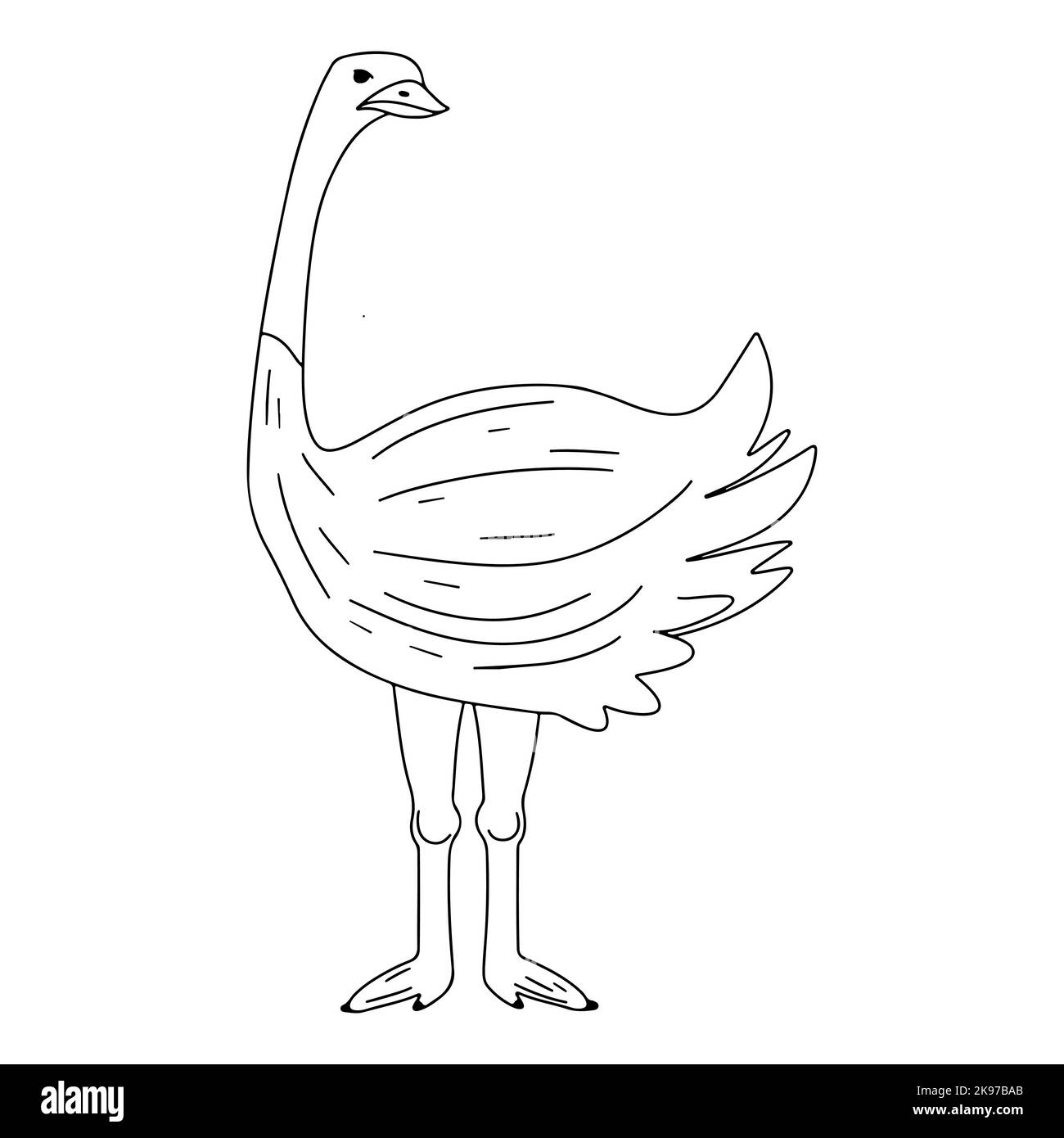 Entzückender Strauß. Niedlicher Vogel im handgezeichneten Doodle-Stil. Vektorgrafik. Stock Vektor