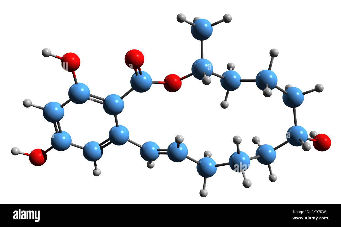 3D Bild der Skelettformel von Alpha-Zearalenol - molekulare chemische Struktur von nicht-steroidalem Östrogen, isoliert auf weißem Hintergrund Stockfoto