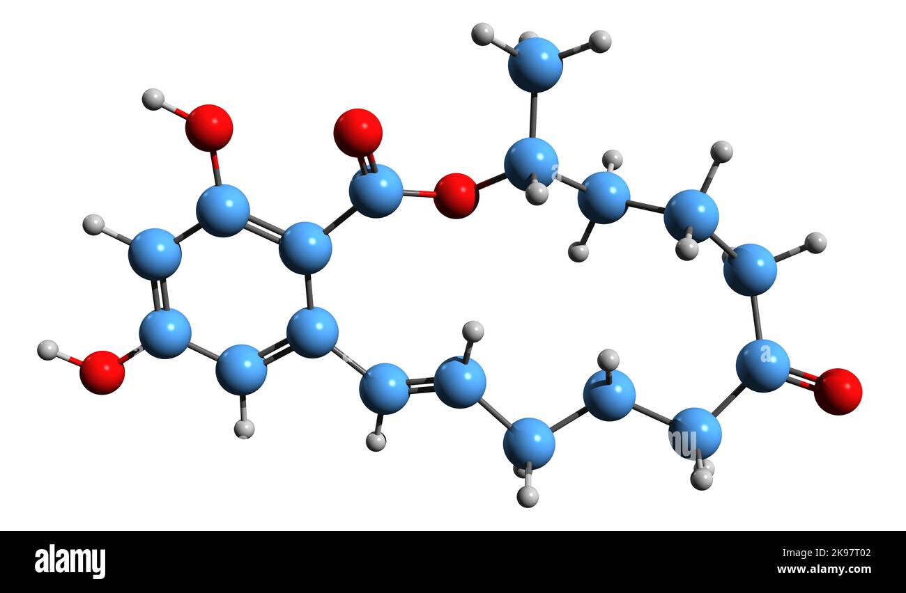 3D Bild der Skelettformel von Zearalenol - molekulare chemische Struktur von nicht-steroidalem Östrogen, isoliert auf weißem Hintergrund Stockfoto