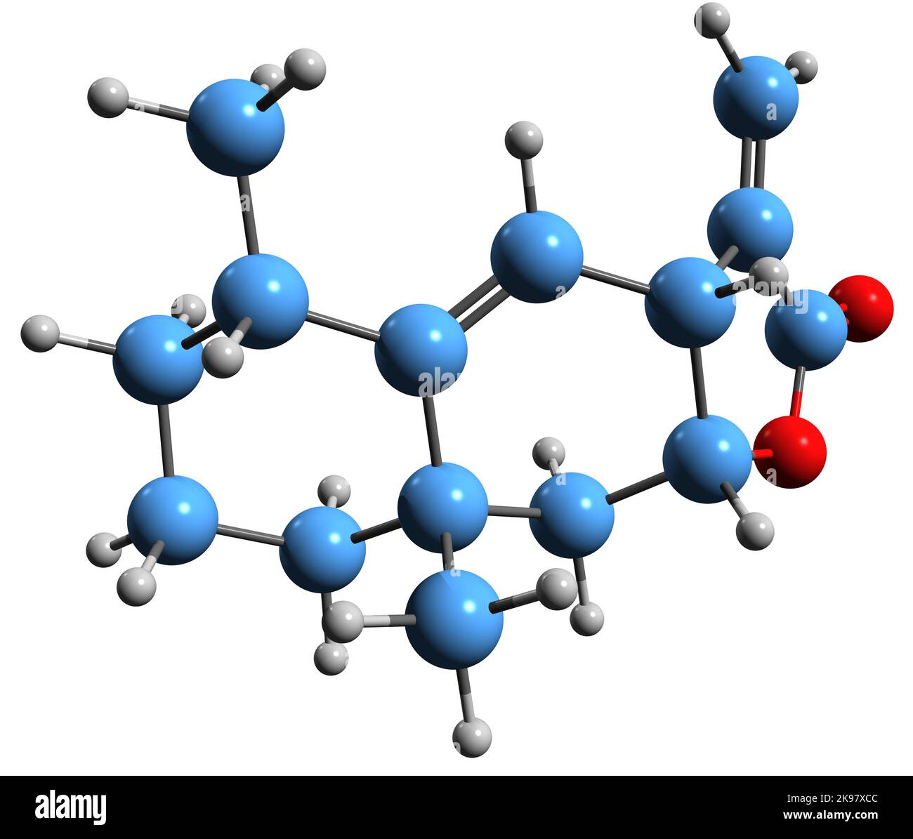 3D Abbildung der Skelettformel von Alantolacton - molekularchemische Struktur des allergenen Sesquiterpenlactons auf weißem Hintergrund Stockfoto