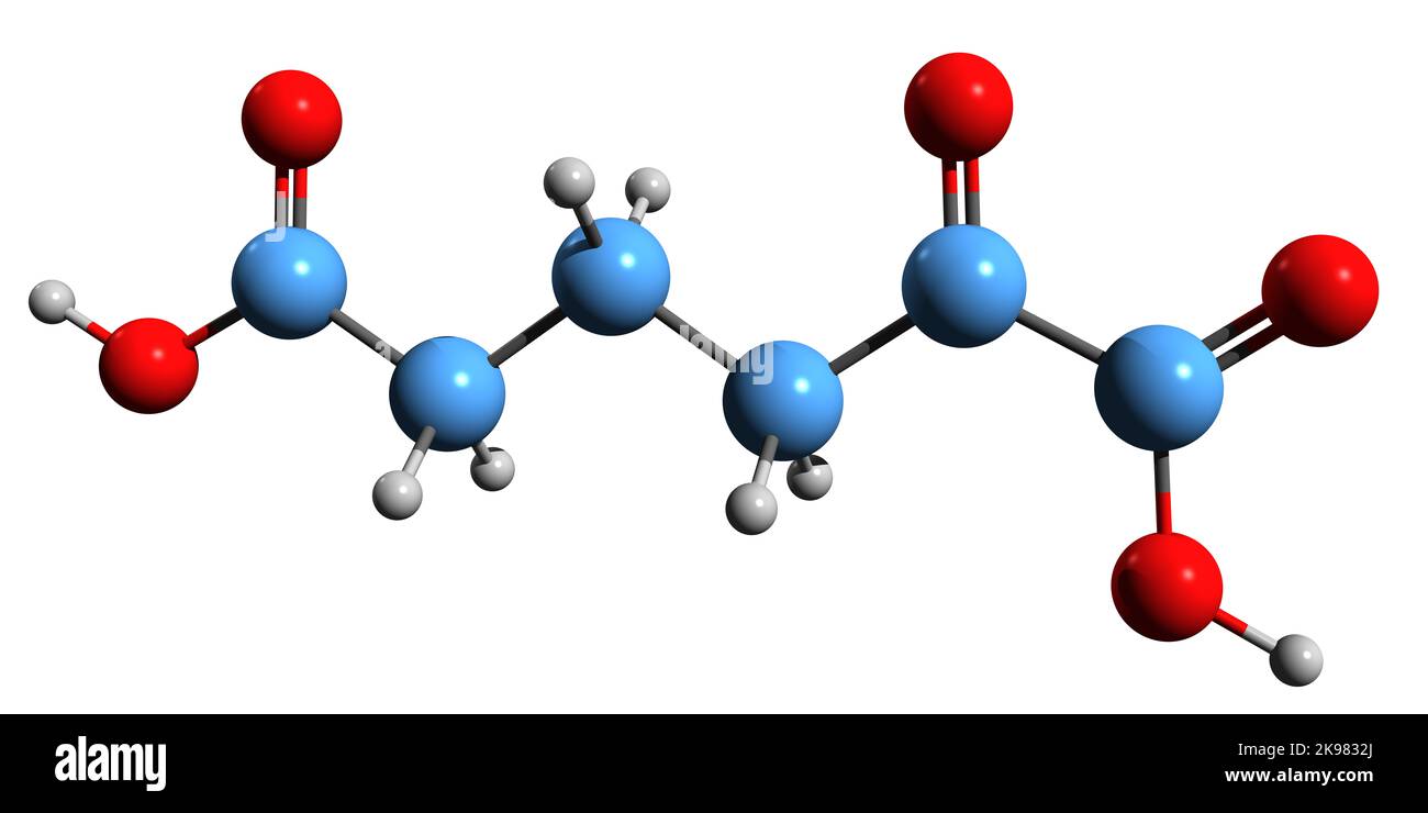 3D Aufnahme der Skelettformel der Alpha-Ketoadipinsäure - molekulare chemische Struktur von 2-Oxoadipat isoliert auf weißem Hintergrund Stockfoto