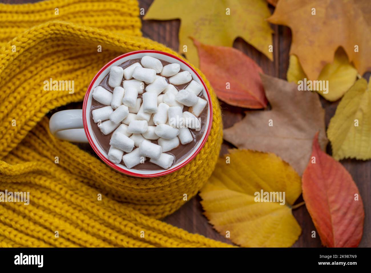 Von oben Tasse mit heißer Schokolade mit Sumpflaibchen umgeben von herbstlichen bunten Blättern auf Holztisch Stockfoto