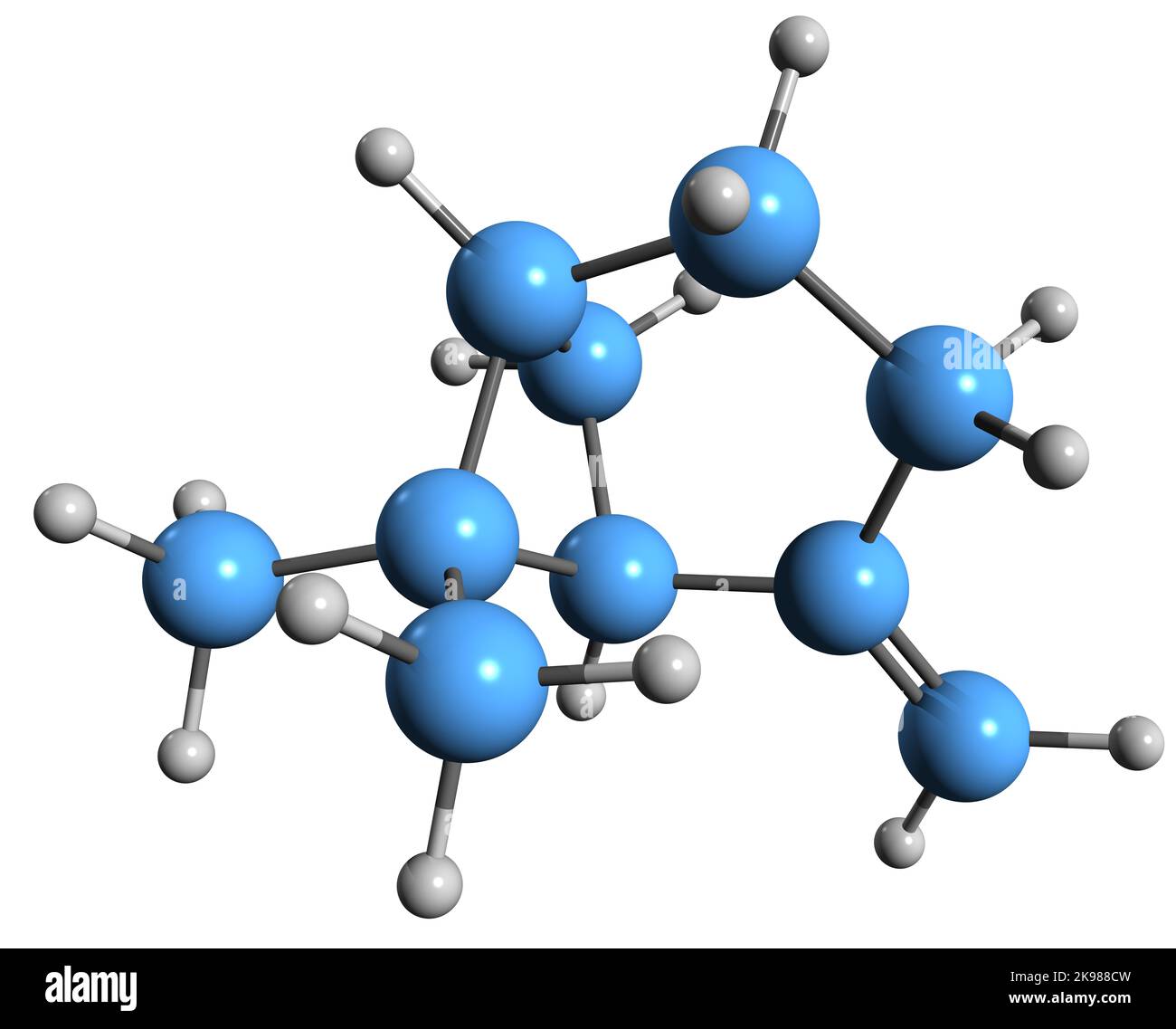 3D Bild der Skelettformel von Beta-Pinene - molekulare chemische Struktur von Monoterpen Nopinene auf weißem Hintergrund isoliert Stockfoto