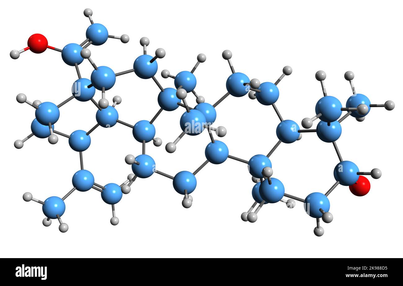 3D Bild der Skelettformel der Betulinsäure - molekulare chemische Struktur des pentazyklischen Triterpenoids auf weißem Hintergrund isoliert Stockfoto