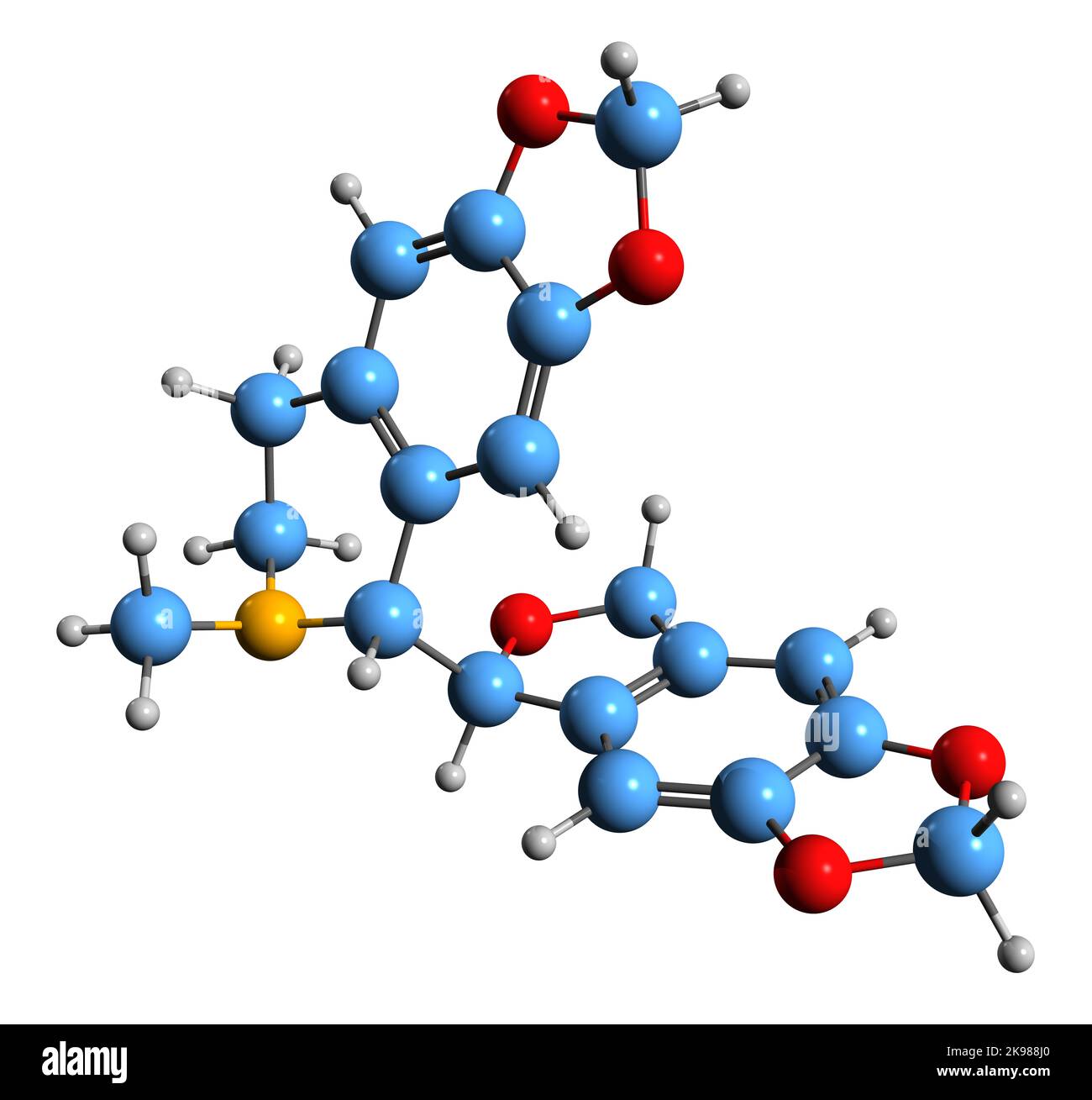3D Bild der Skelettformel von Bicuculline - molekulare chemische Struktur der Phthalid-Isochinolin-Verbindung auf weißem Hintergrund isoliert Stockfoto