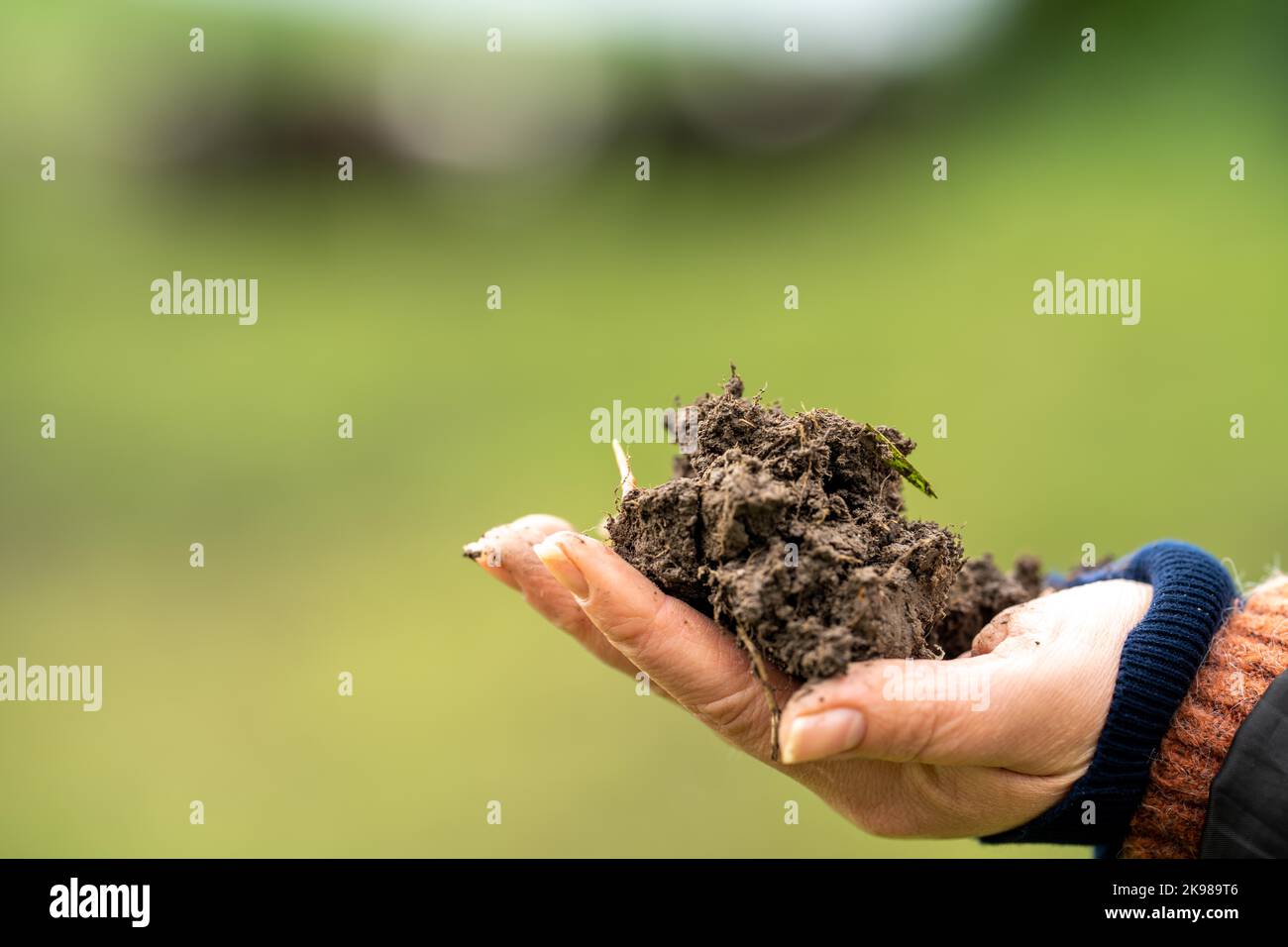 Kohlenstoff im Boden wird in den Händen gehalten Stockfoto