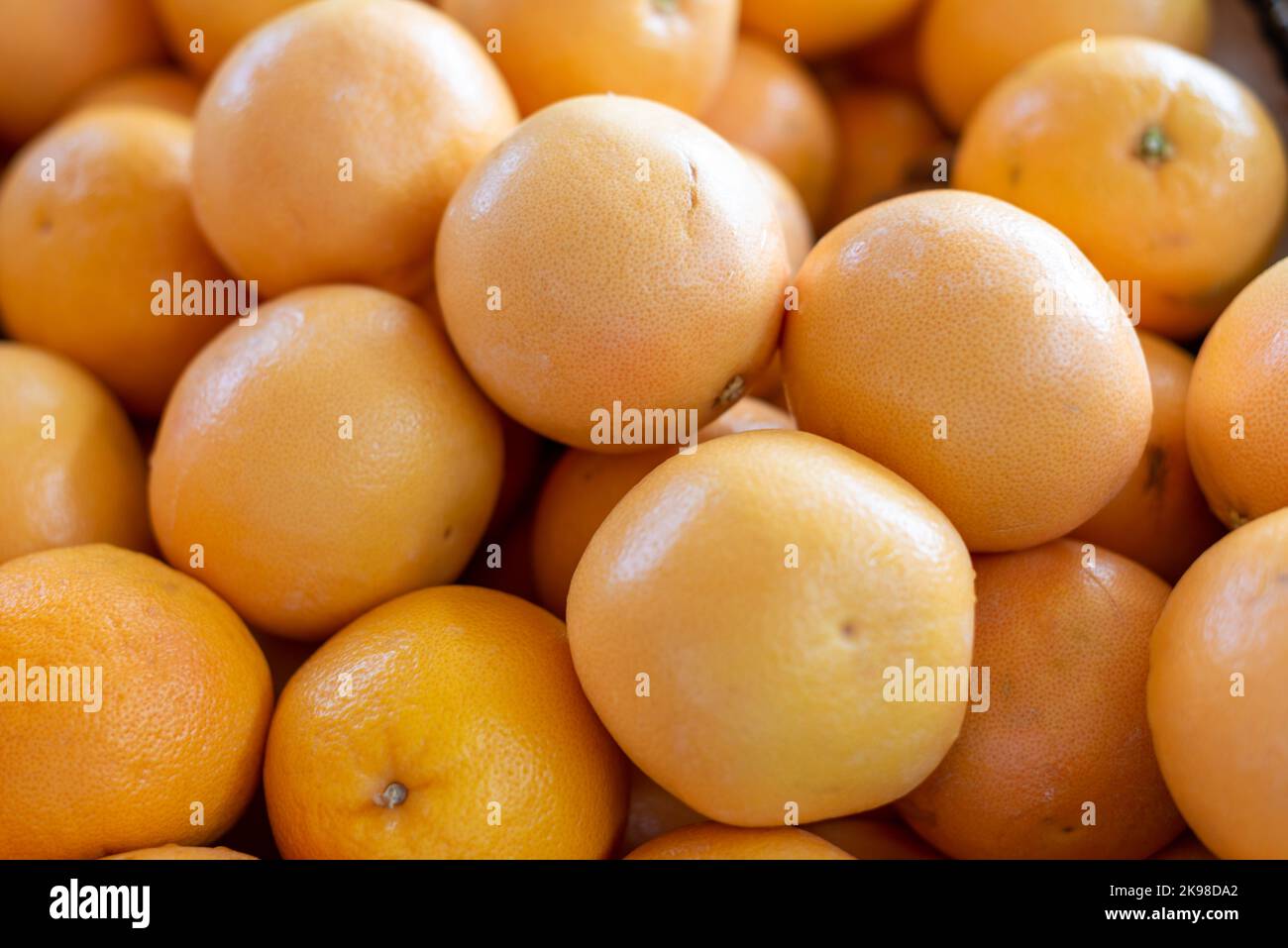 Ein Behälter frischer ganzer organischer Nabelorangen, gestapelt und zum Verkauf auf einem Bauernmarkt. Die leuchtend orangefarbene, süße, saftige Frucht mit dicker Haut. Stockfoto