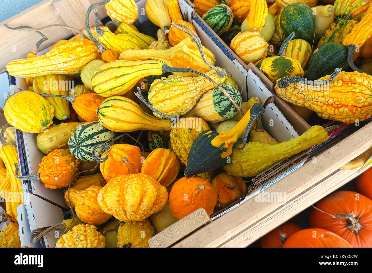 Bunte Zierkürbisse (Cucurbita pepo) in einem Karton vor einem Lebensmittelgeschäft. Stockfoto