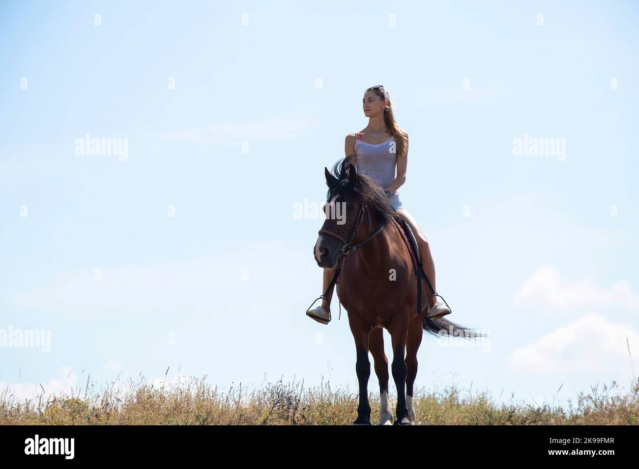 Mädchen, das an einem sonnigen Tag auf dem Pferderücken gegen den Himmel sitzt Stockfoto